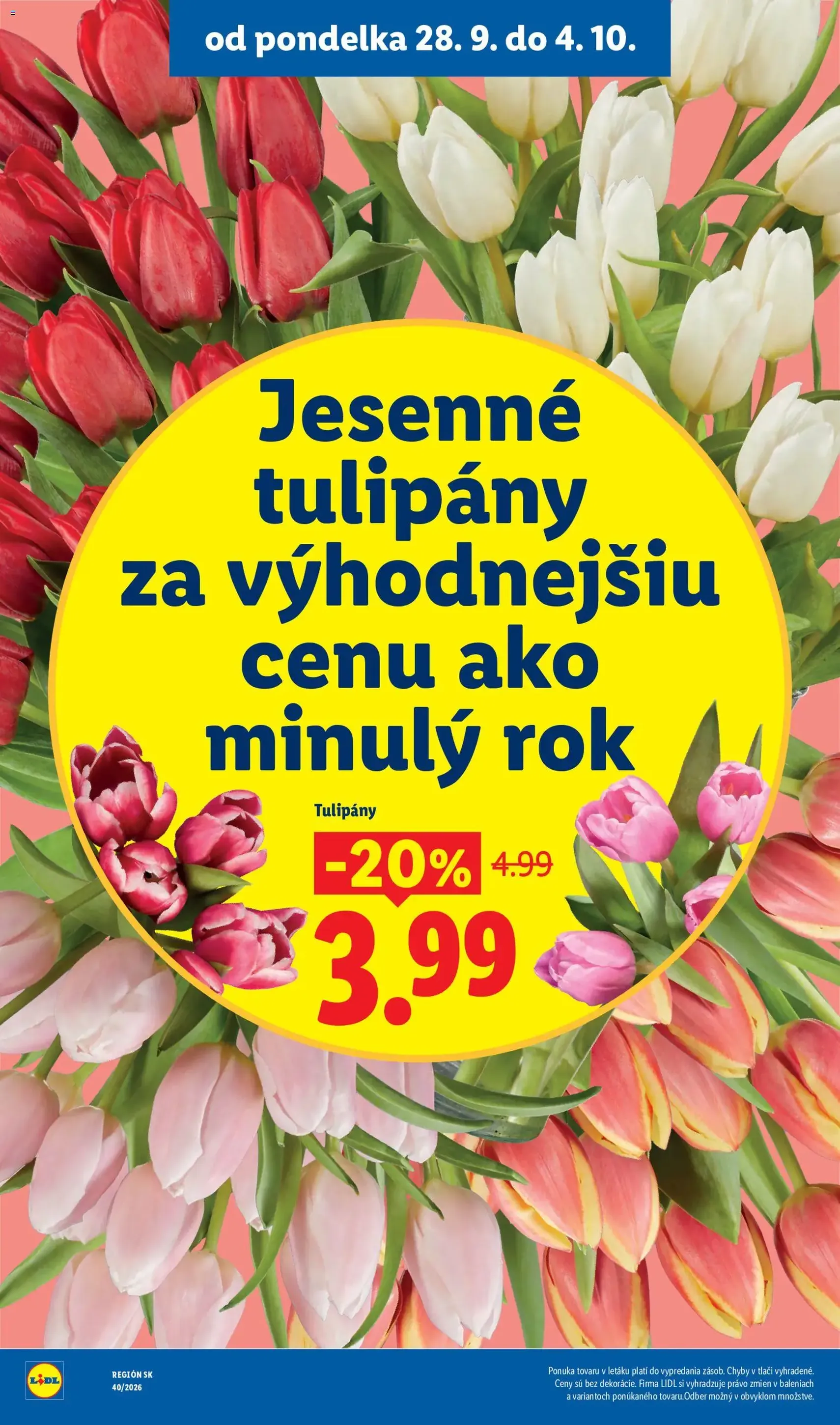 Lidl leták - platný leták od 28.09.2026 strana 50 z 100