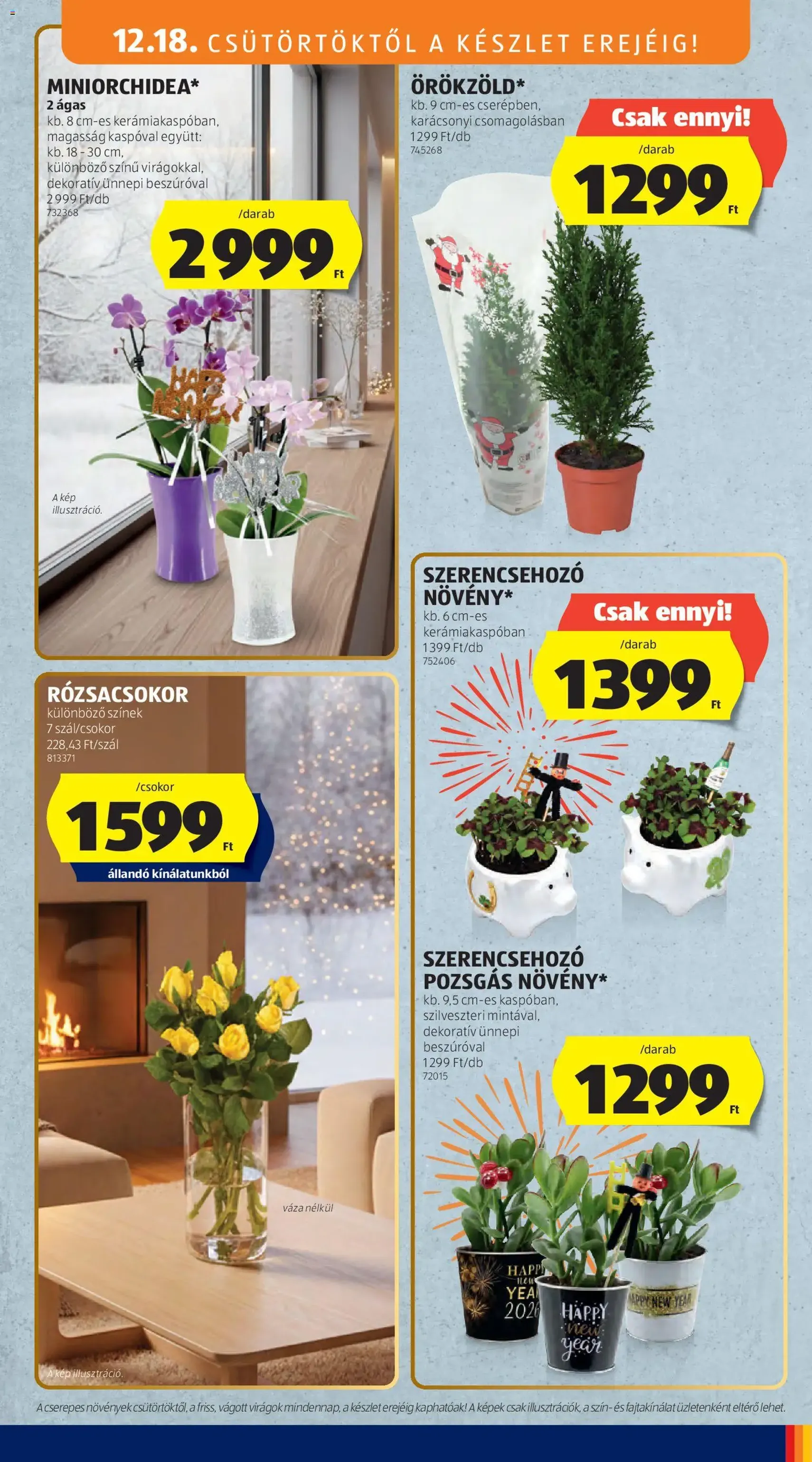 Aldi Akciós újság - 2025.12.18. érvényes szórólap 35 oldal 58 oldalból