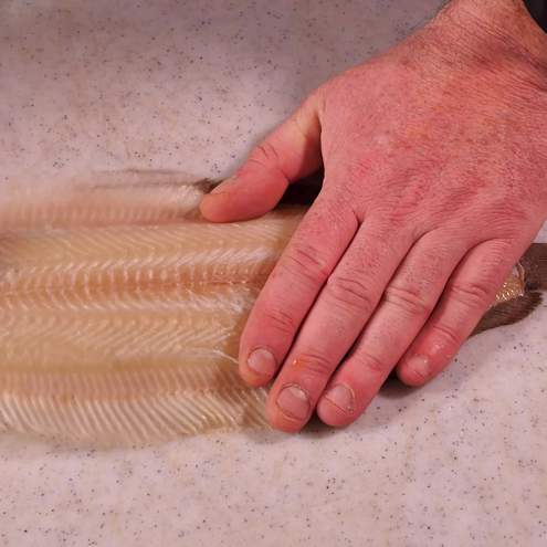 Sogliola alla mugnaia - procedimento 1