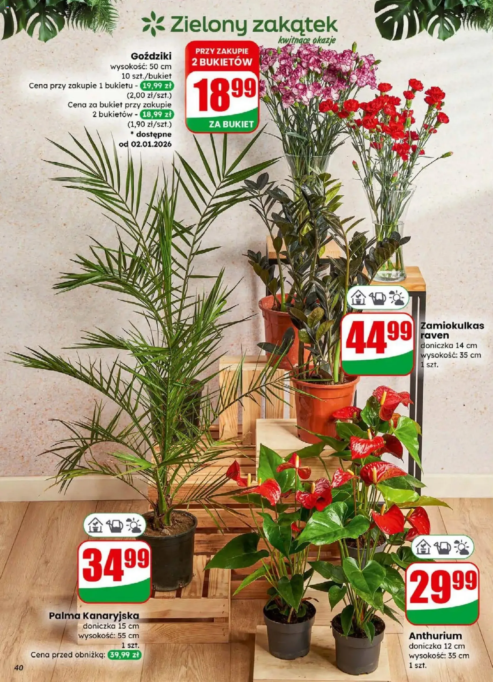 Dino Gazetka - ważny gazetka od 31.12.2025 strona 40 z 71