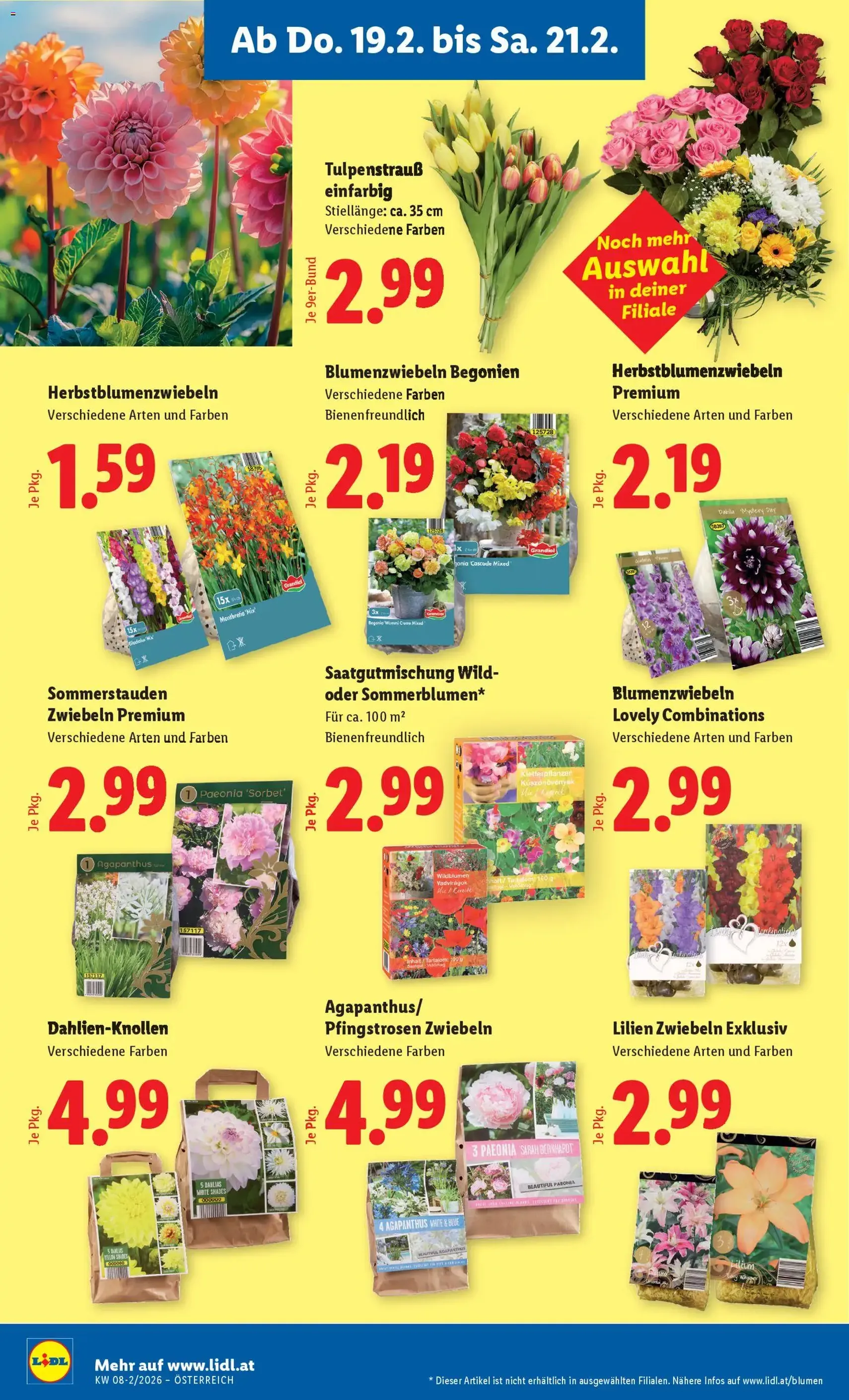 Lidl Flugblatt - Gültiger Prospekt ab 19.02.2026, Seite 24 von insgesamt 46