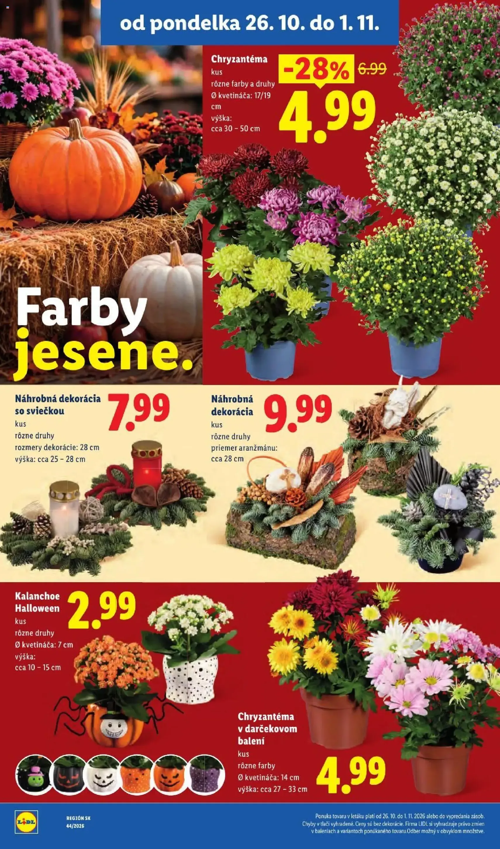 Lidl leták - platný leták od 26.10.2026 strana 53 z 107