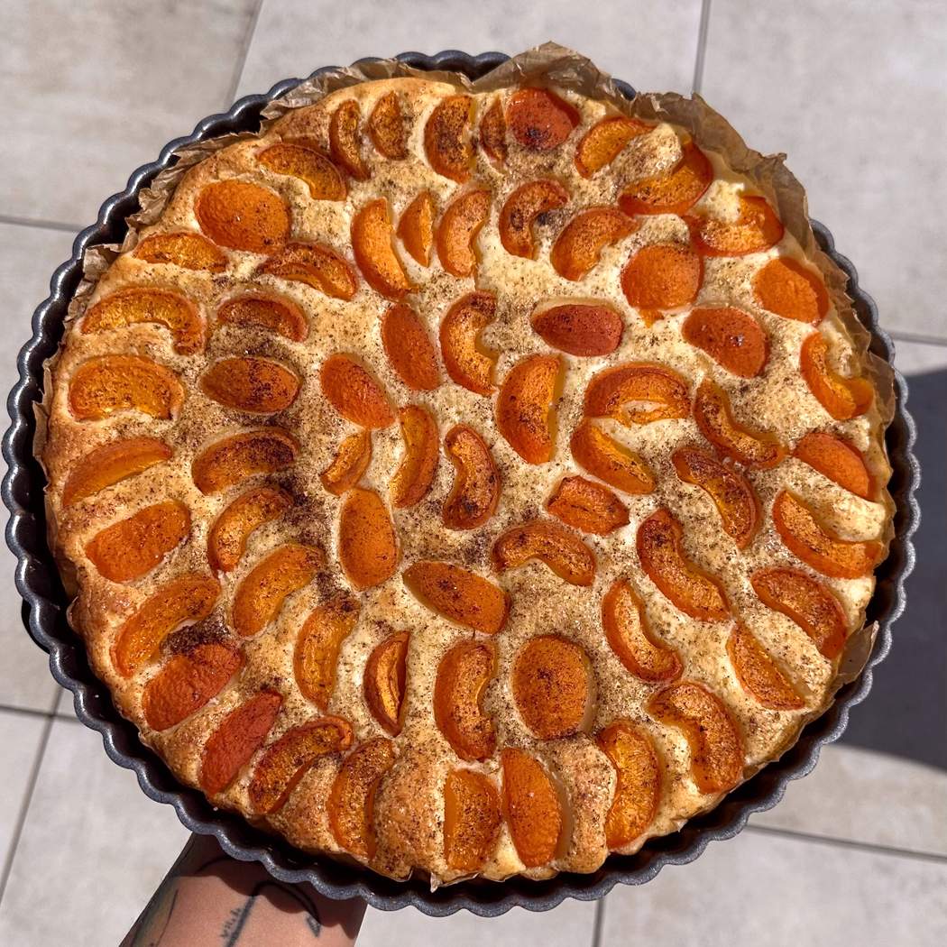 Torta di albicocche e quark