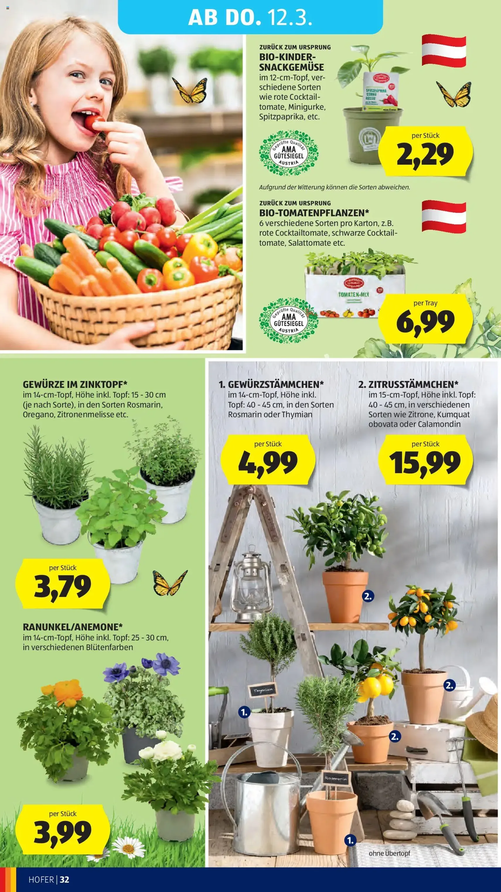 Hofer Flugblatt - Gültiger Prospekt ab 04.03.2026, Seite 40 von insgesamt 45