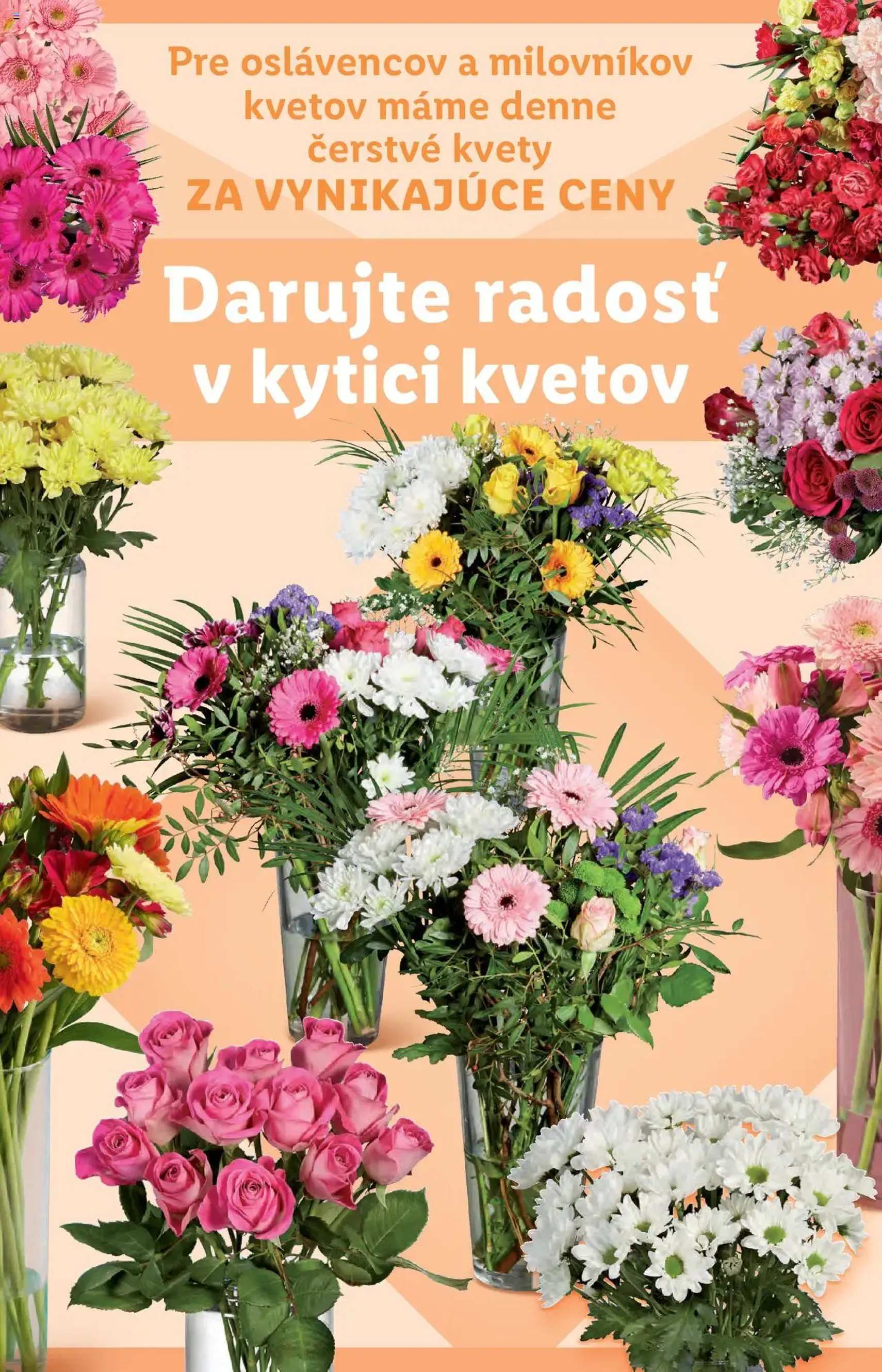 Lidl leták - platný leták od 08.09.2025 strana 45 z 91 Lidl leták - platný leták od 08.09.2025 strana 45 z 91