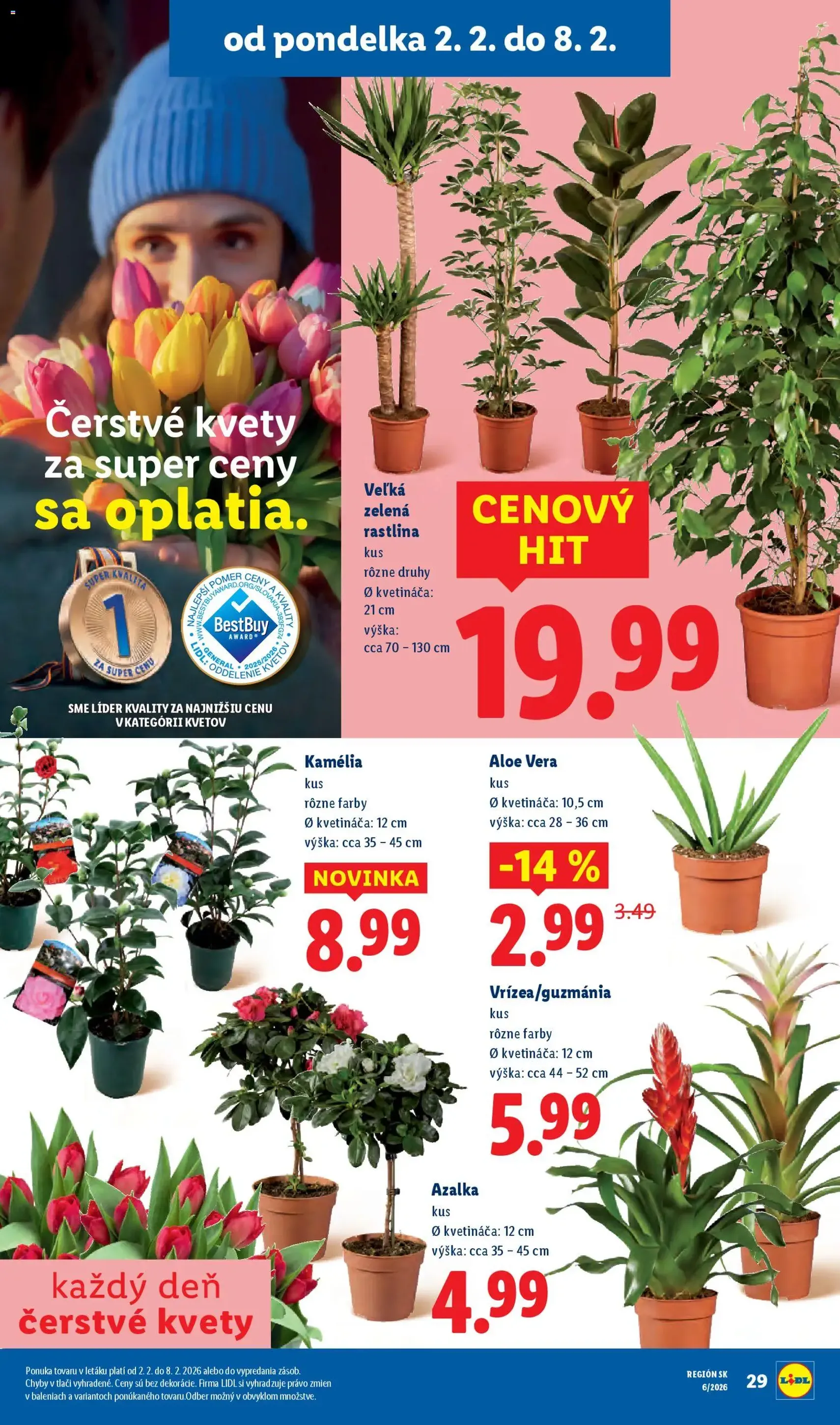 Lidl leták - platný leták od 02.02.2026 strana 37 z 88