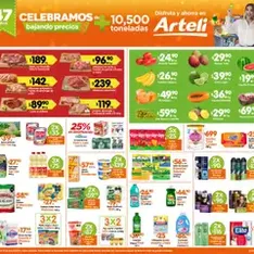 Vista previa del folleto Arteli - Folleto Arteli válido desde 28/07/2025