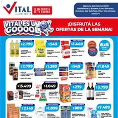 Vista previa del folleto Vital - Ofertas válido desde 22/06/2026