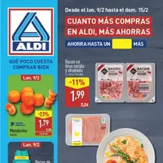 Vista previa del folleto Aldi folleto Península válido desde 09/02/2026