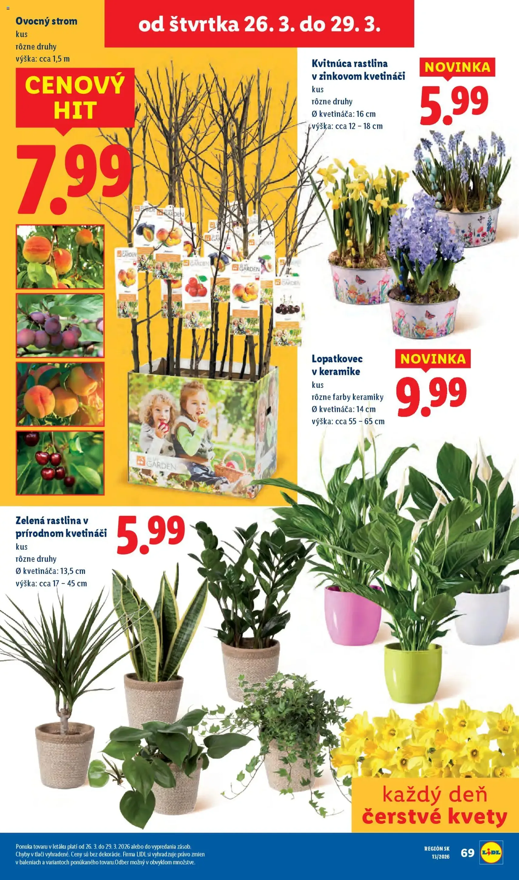 Lidl leták - platný leták od 23.03.2026 strana 80 z 105