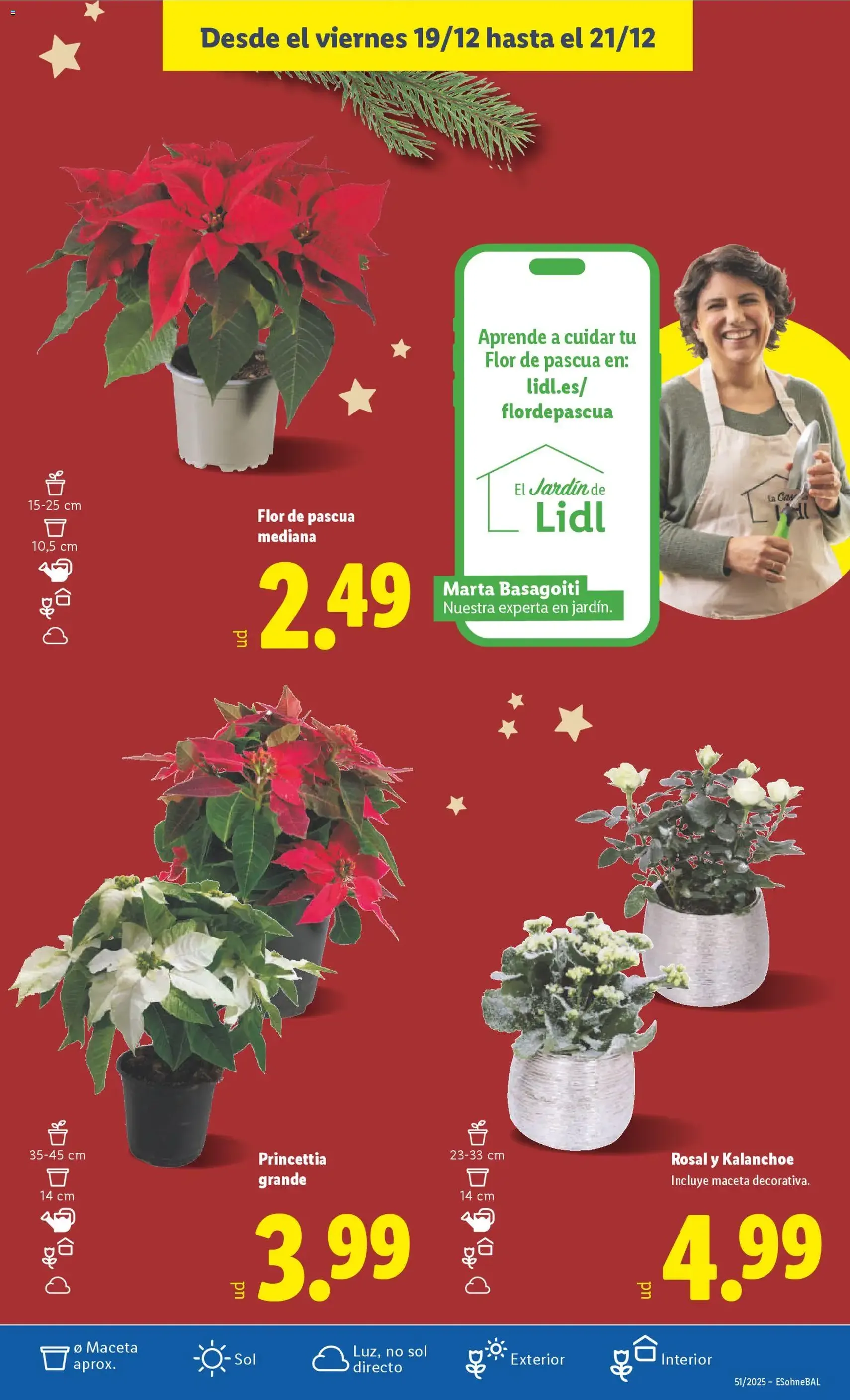 Lidl folleto - folleto válido desde 15/12/2025 página 47 de 47
