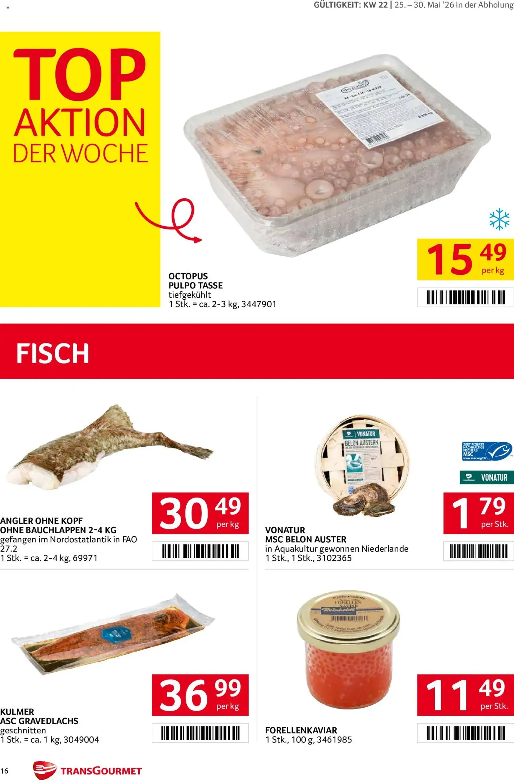 Transgourmet Flugblatt - Gültiger Prospekt ab 25.05.2026, Seite 16 von insgesamt 35