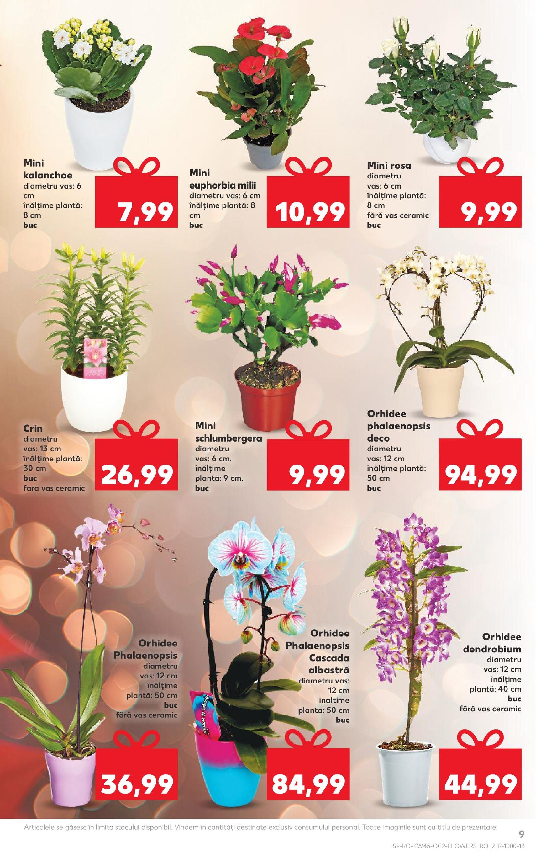 Catalog Kaufland - Bucureşti - cataloage valabile începând cu 05.11.2025 pagina 9 din 62