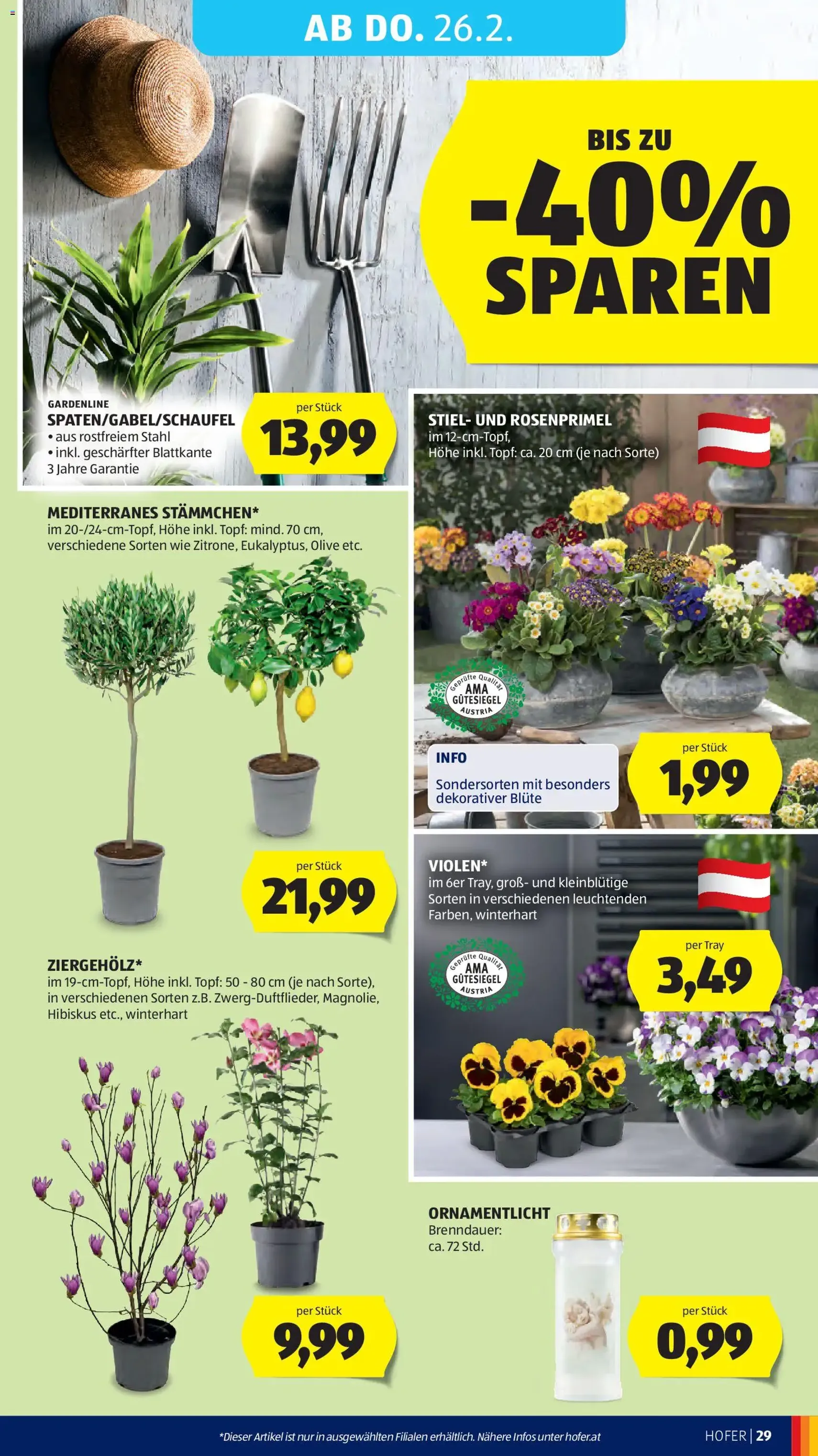 Hofer Flugblatt - Gültiger Prospekt ab 20.02.2026, Seite 33 von insgesamt 37