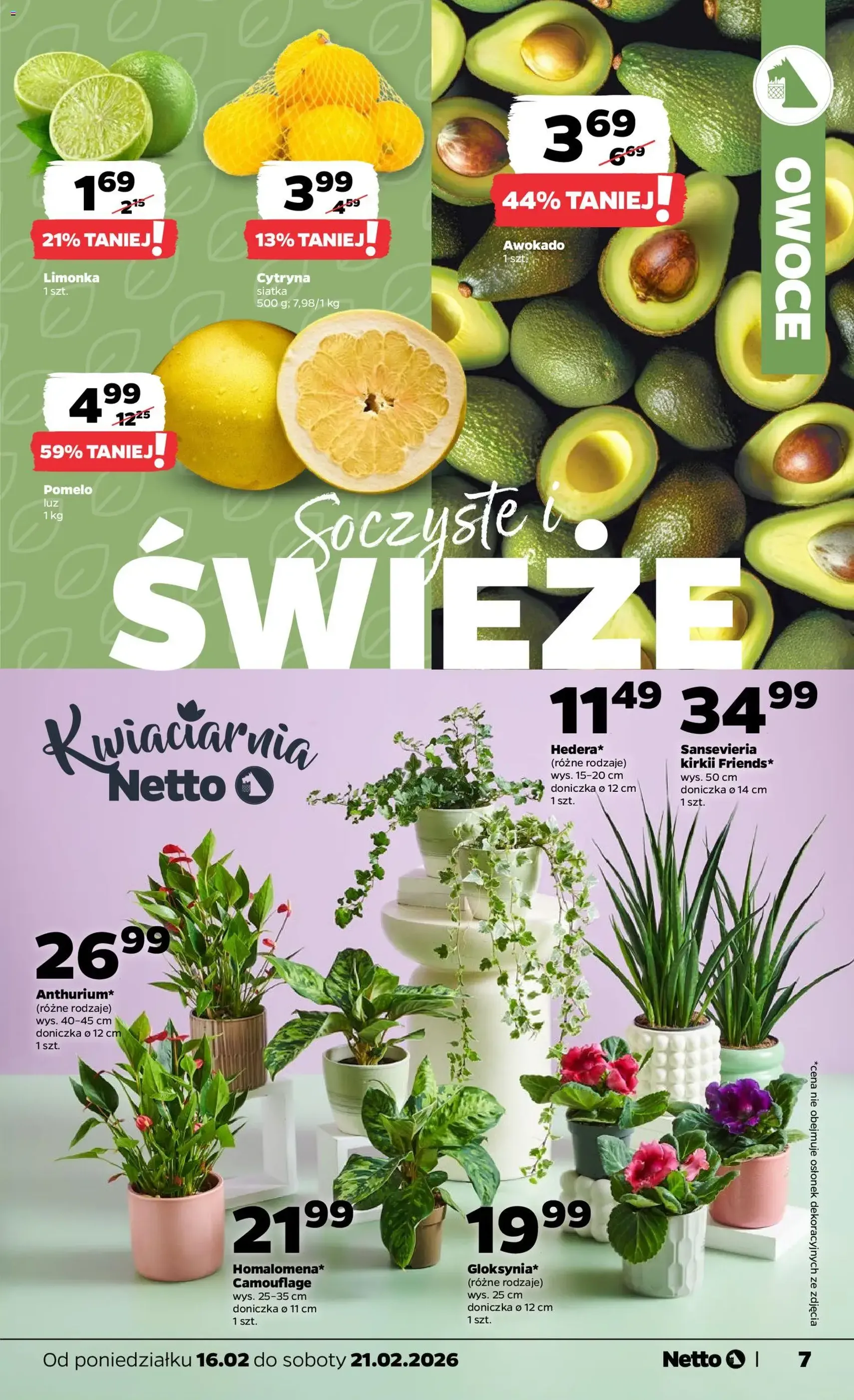 Netto gazetka - Spożywcza - ważny gazetka od 16.02.2026 strona 7 z 33