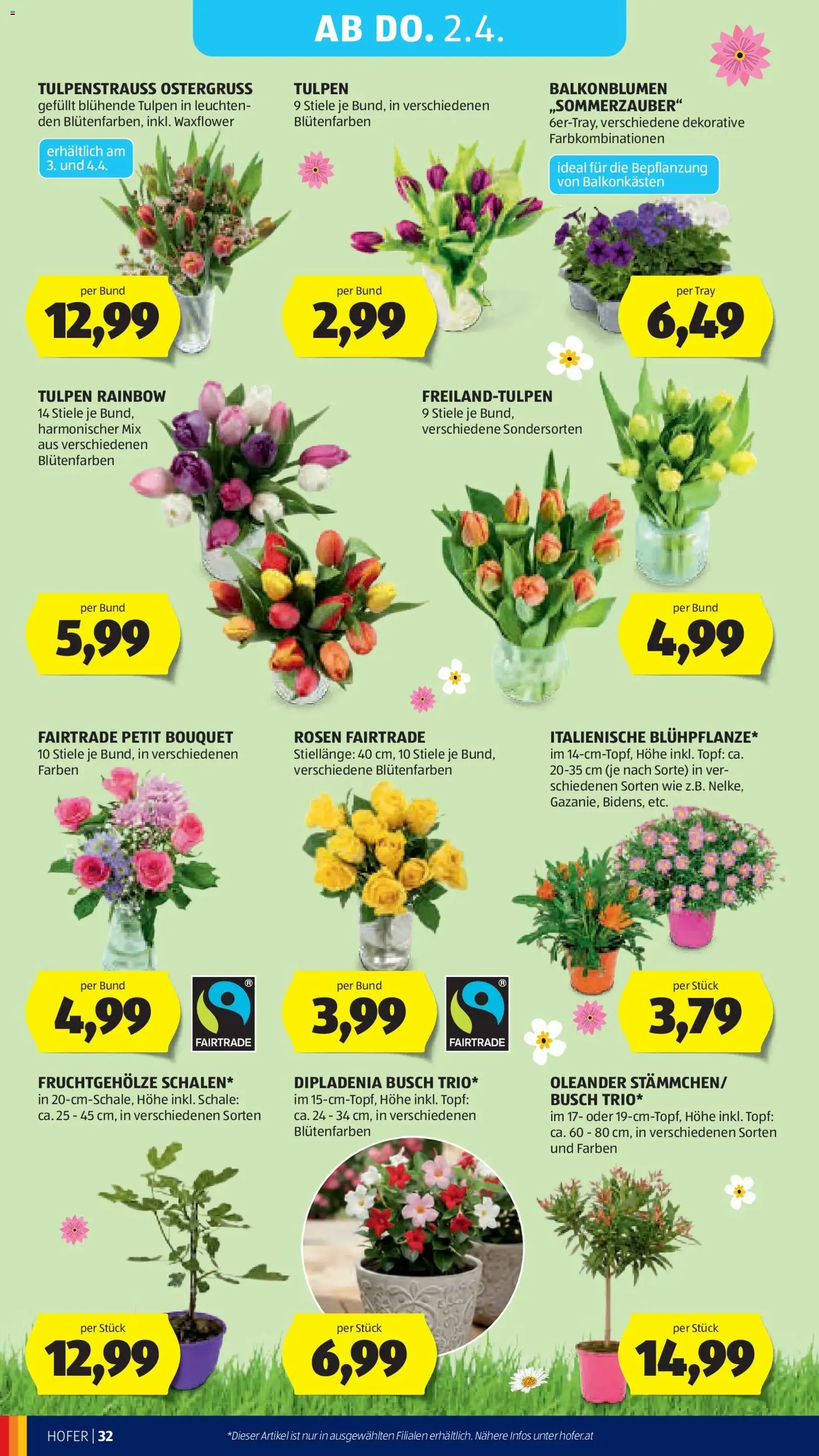 Hofer Flugblatt - Gültiger Prospekt ab 27.03.2026, Seite 38 von insgesamt 46