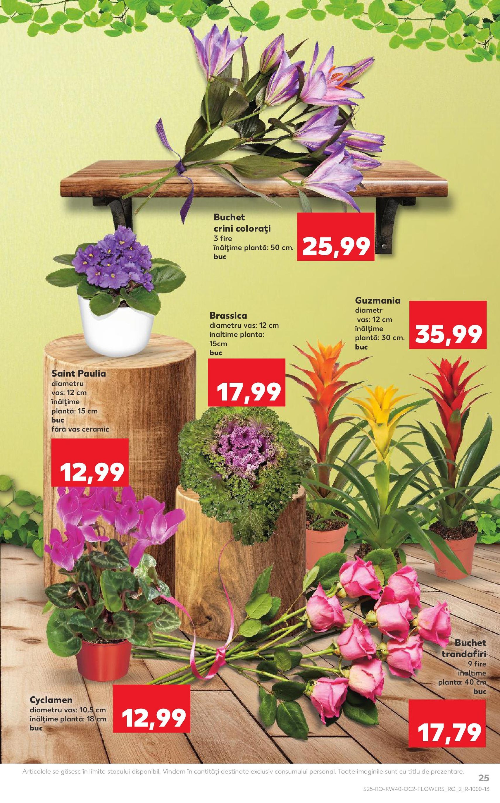 Catalog Kaufland - Bucureşti - cataloage valabile începând cu 01.10.2025 pagina 25 din 70
