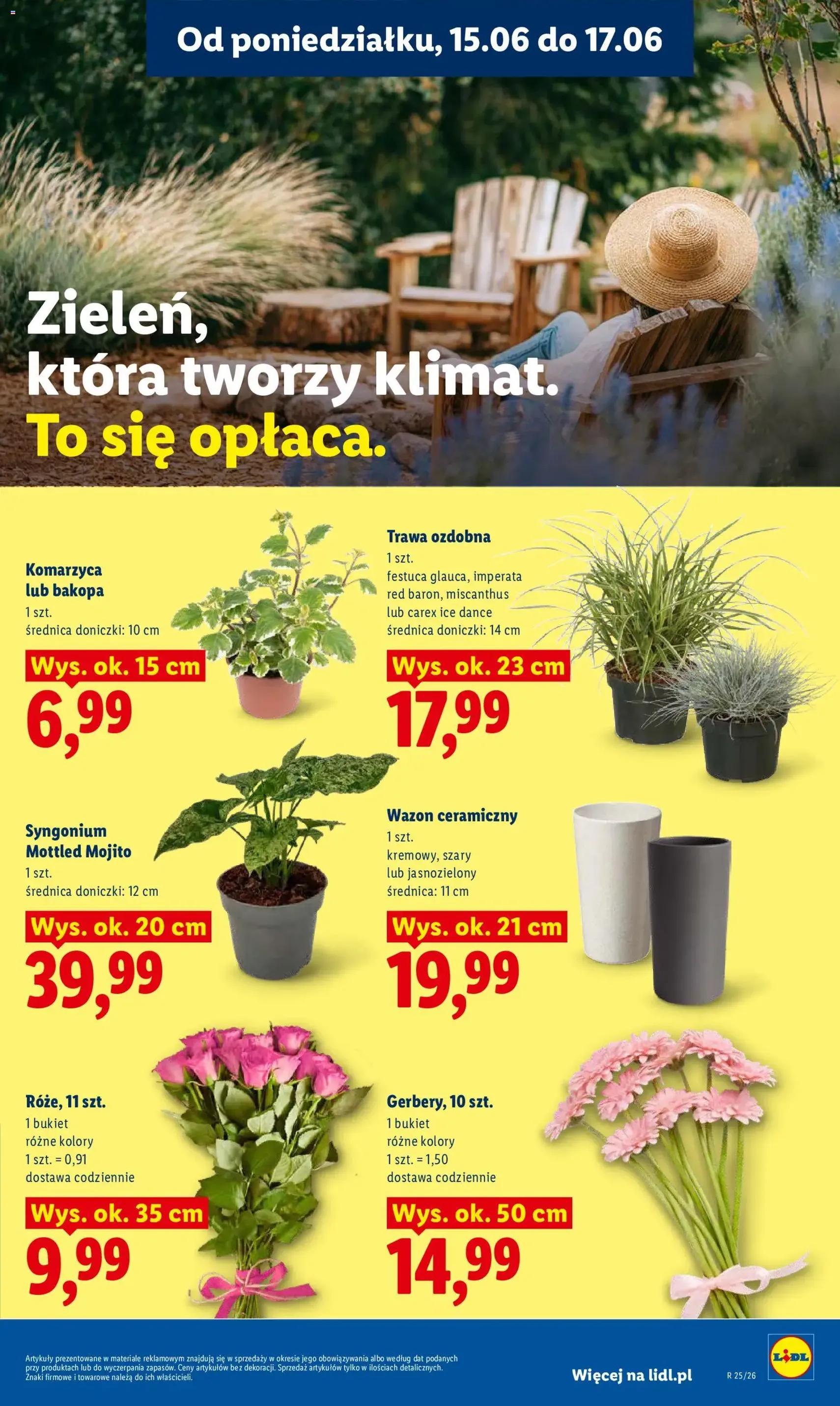 Lidl gazetka - ważny gazetka od 15.06.2026 strona 97 z 101