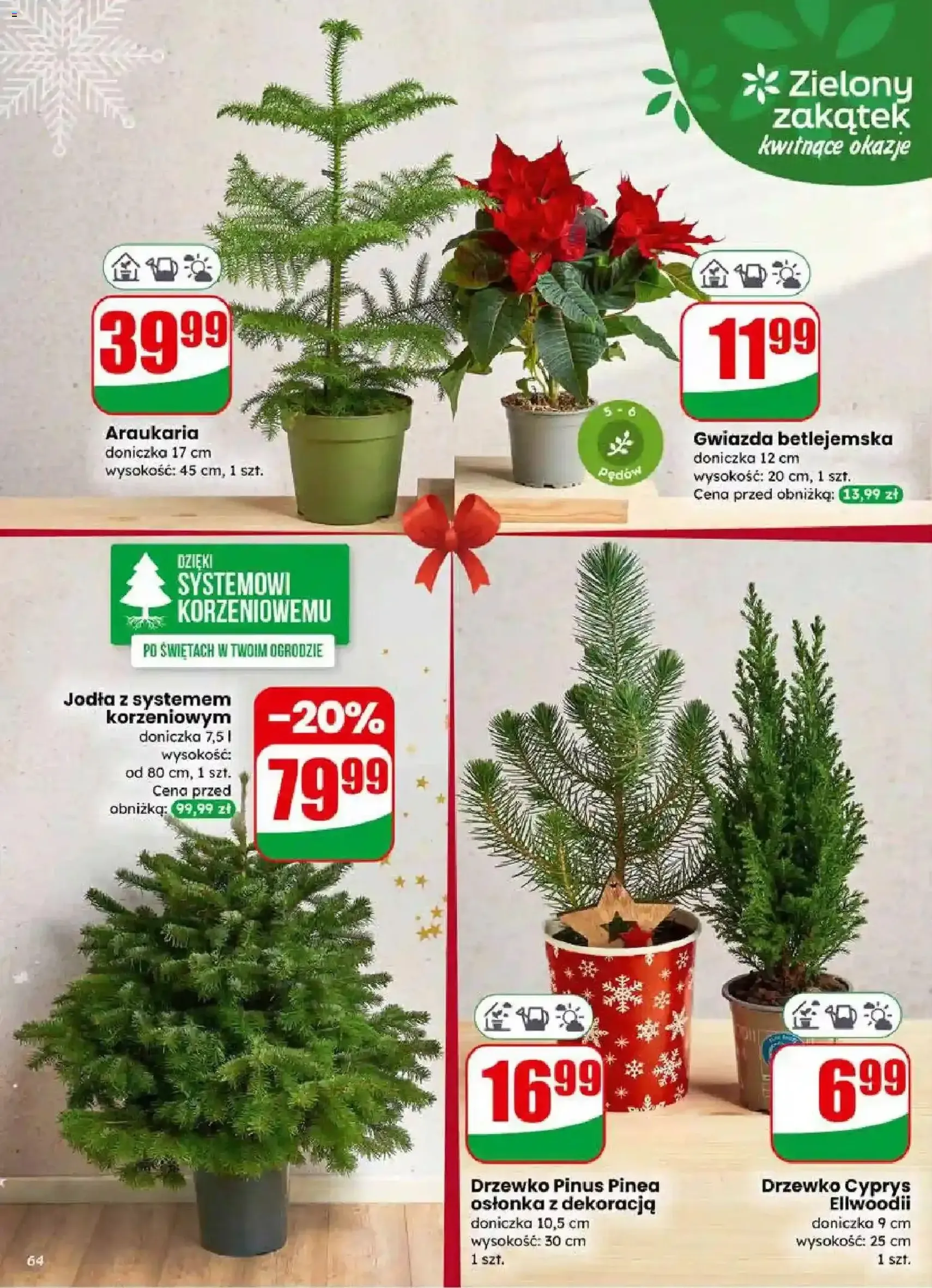 Dino Gazetka - ważny gazetka od 17.12.2025 strona 64 z 83