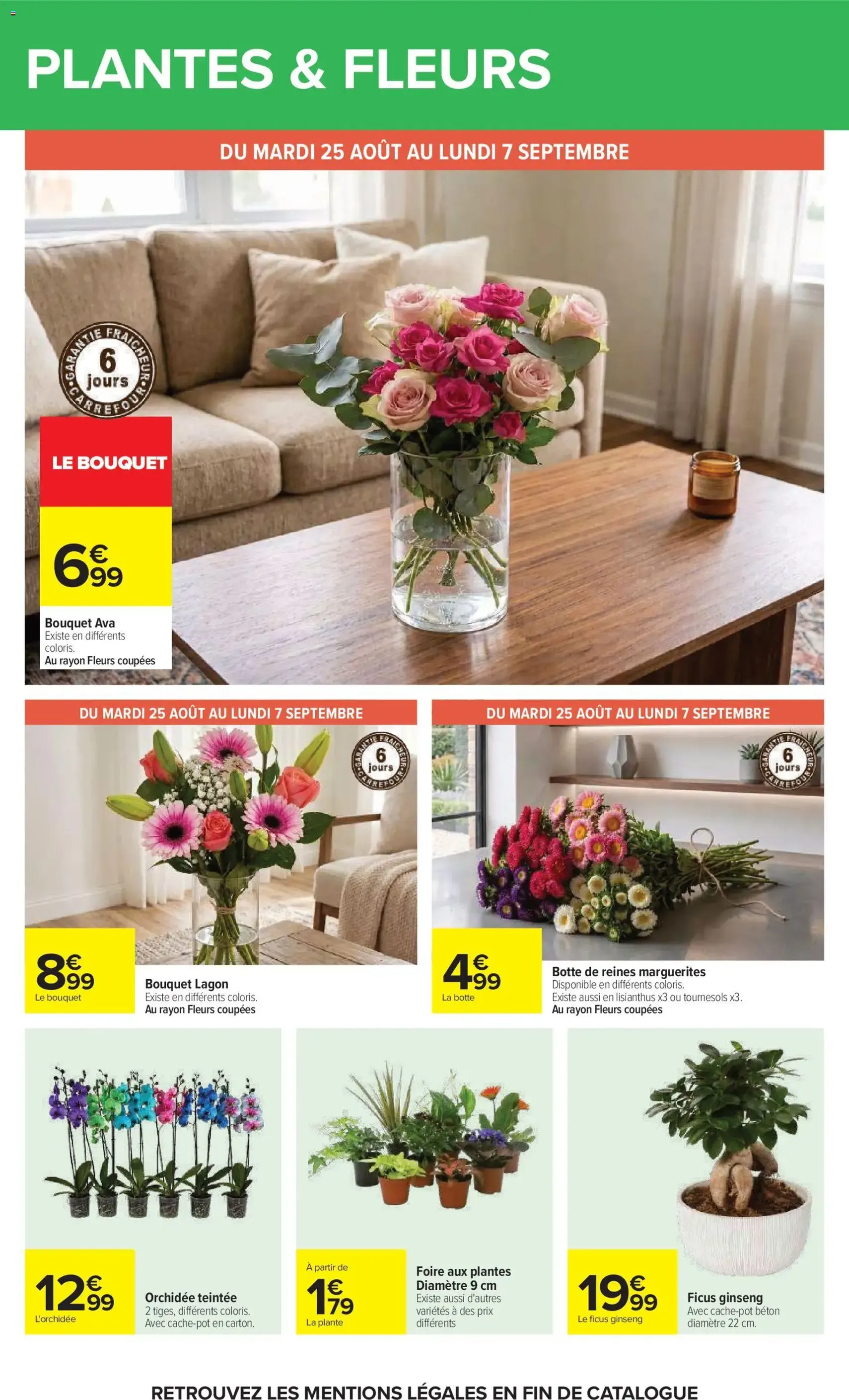 Carrefour catalogue - brochure valable à partir du 24/08/2026, page 66 sur 102