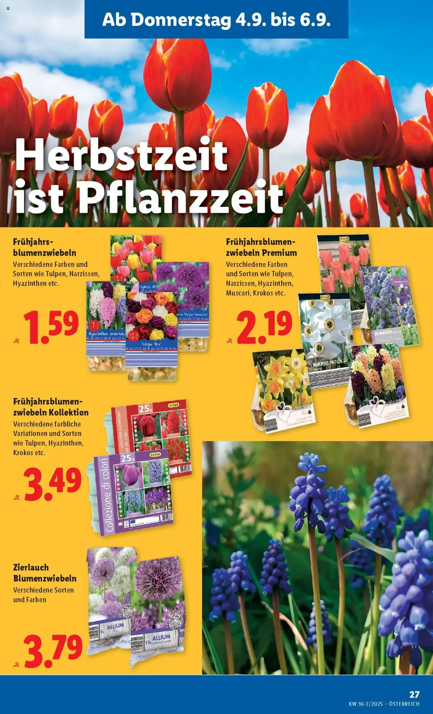 Lidl Flugblatt - Gültiger Prospekt ab 04.09.2025, Seite 29 von insgesamt 49 Lidl Flugblatt - Gültiger Prospekt ab 04.09.2025, Seite 29 von insgesamt 49