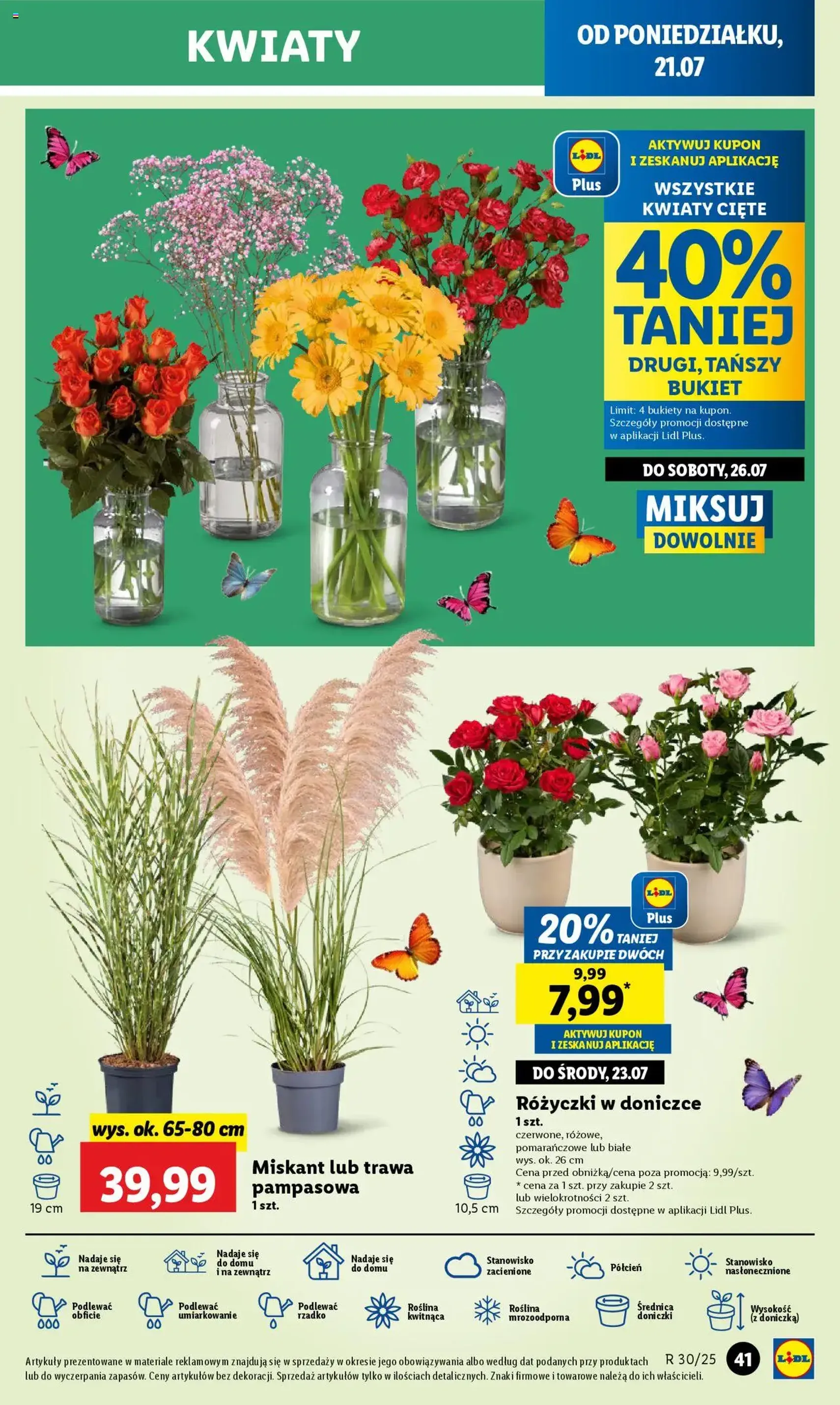 Lidl Gazetka - ważny gazetka od 21.07.2025 strona 51 z 62 Lidl Gazetka - ważny gazetka od 21.07.2025 strona 51 z 62