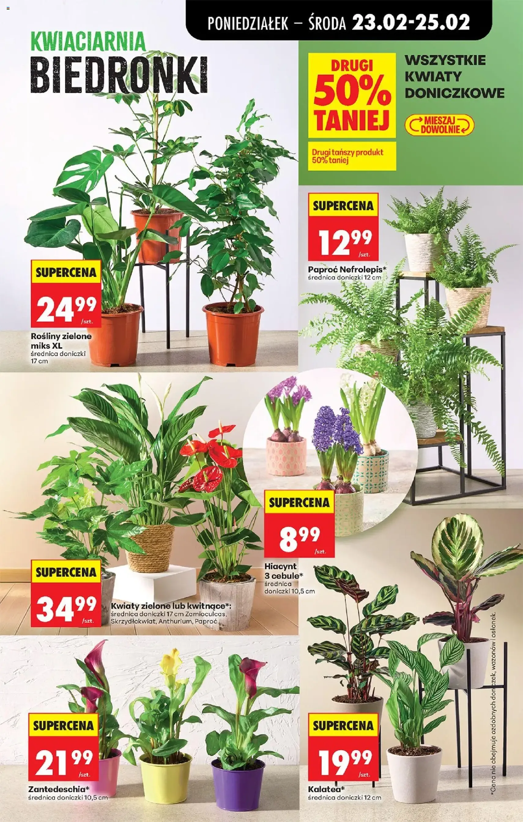 Biedronka gazetka - ważny gazetka od 23.02.2026 strona 25 z 89
