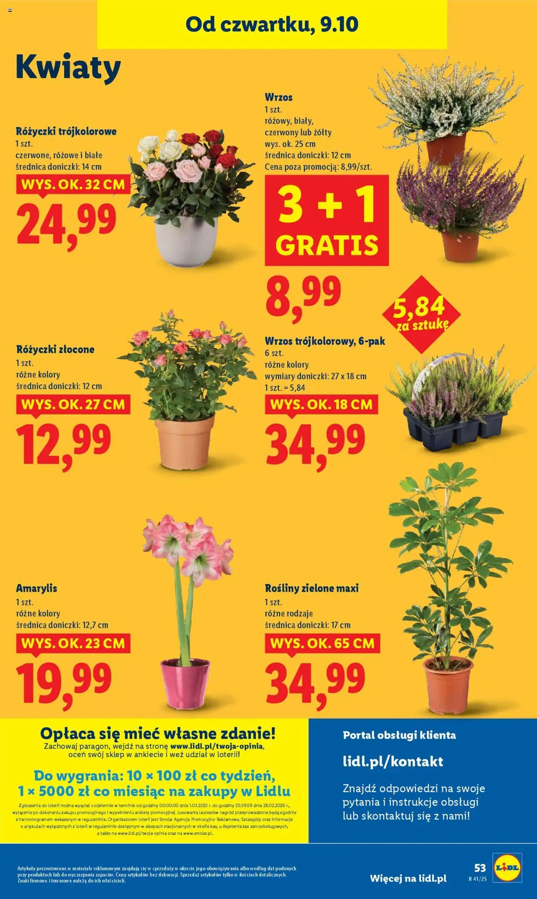 Lidl Gazetka - ważny gazetka od 09.10.2025 strona 59 z 65