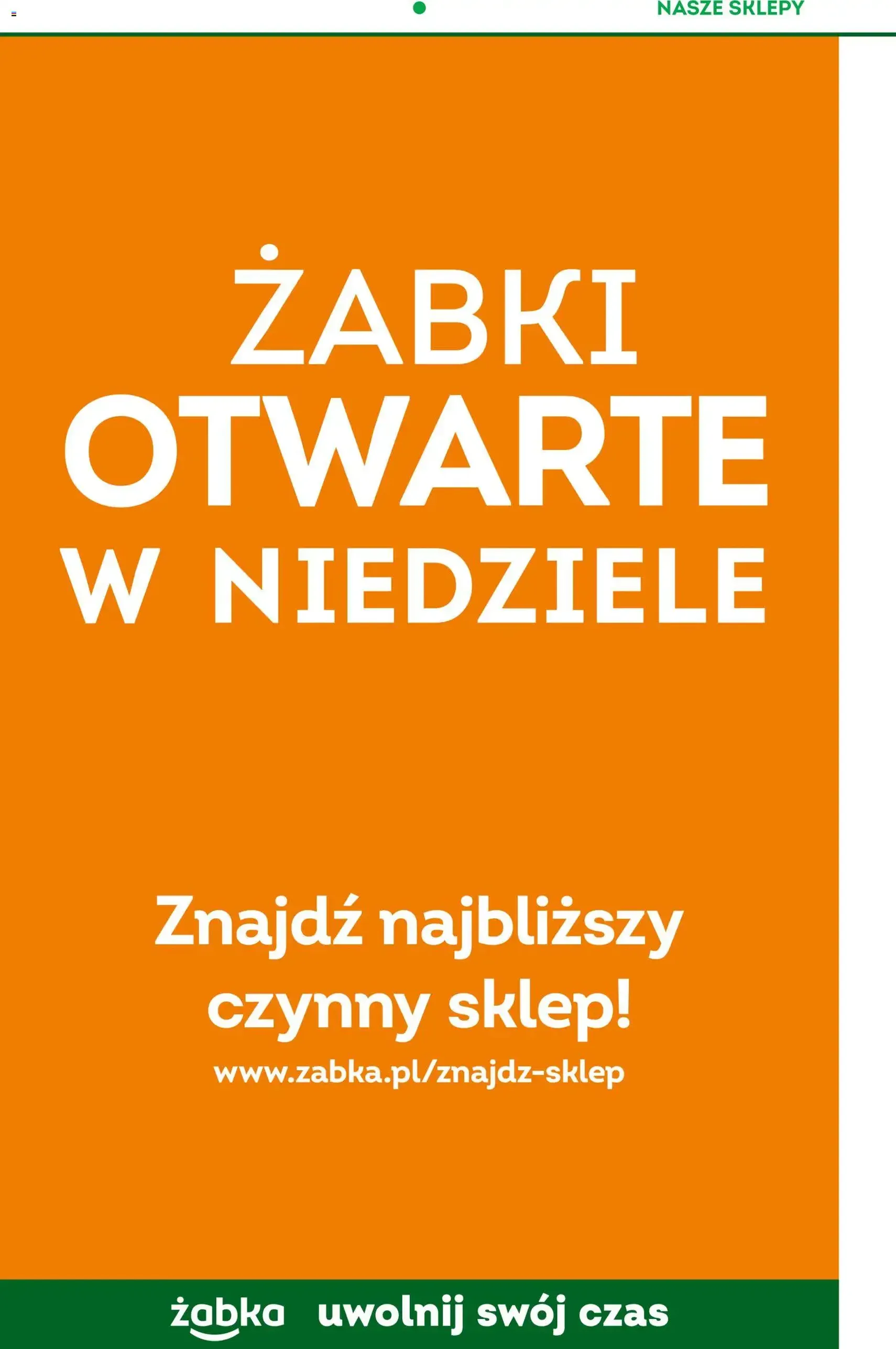 Żabka Gazetka - ważny gazetka od 28.01.2026 strona 65 z 66