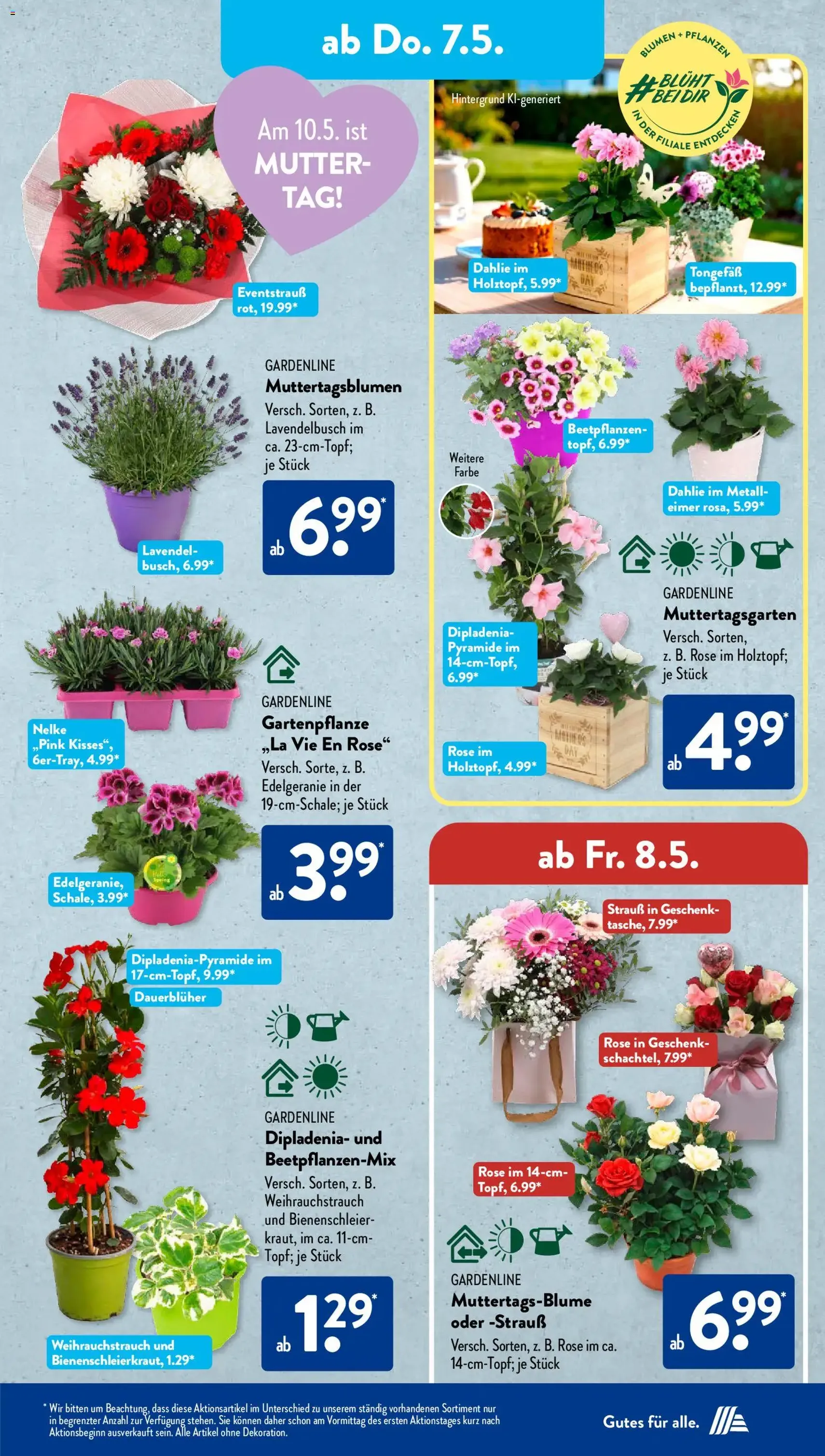 Aldi Süd Prospekt - Gültiger Prospekt ab 04.05.2026, Seite 12 von insgesamt 23
