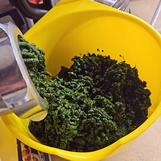 Náhľad receptu Medvedí cesnak -pesto