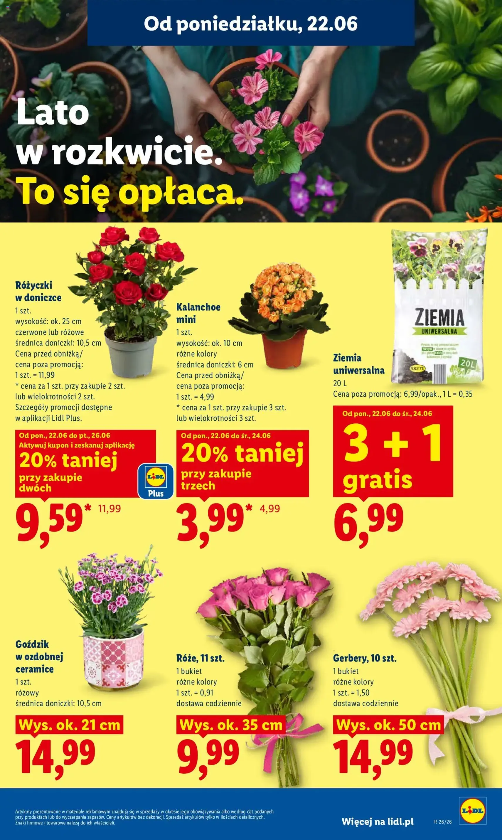 Lidl gazetka - ważny gazetka od 22.06.2026 strona 87 z 99