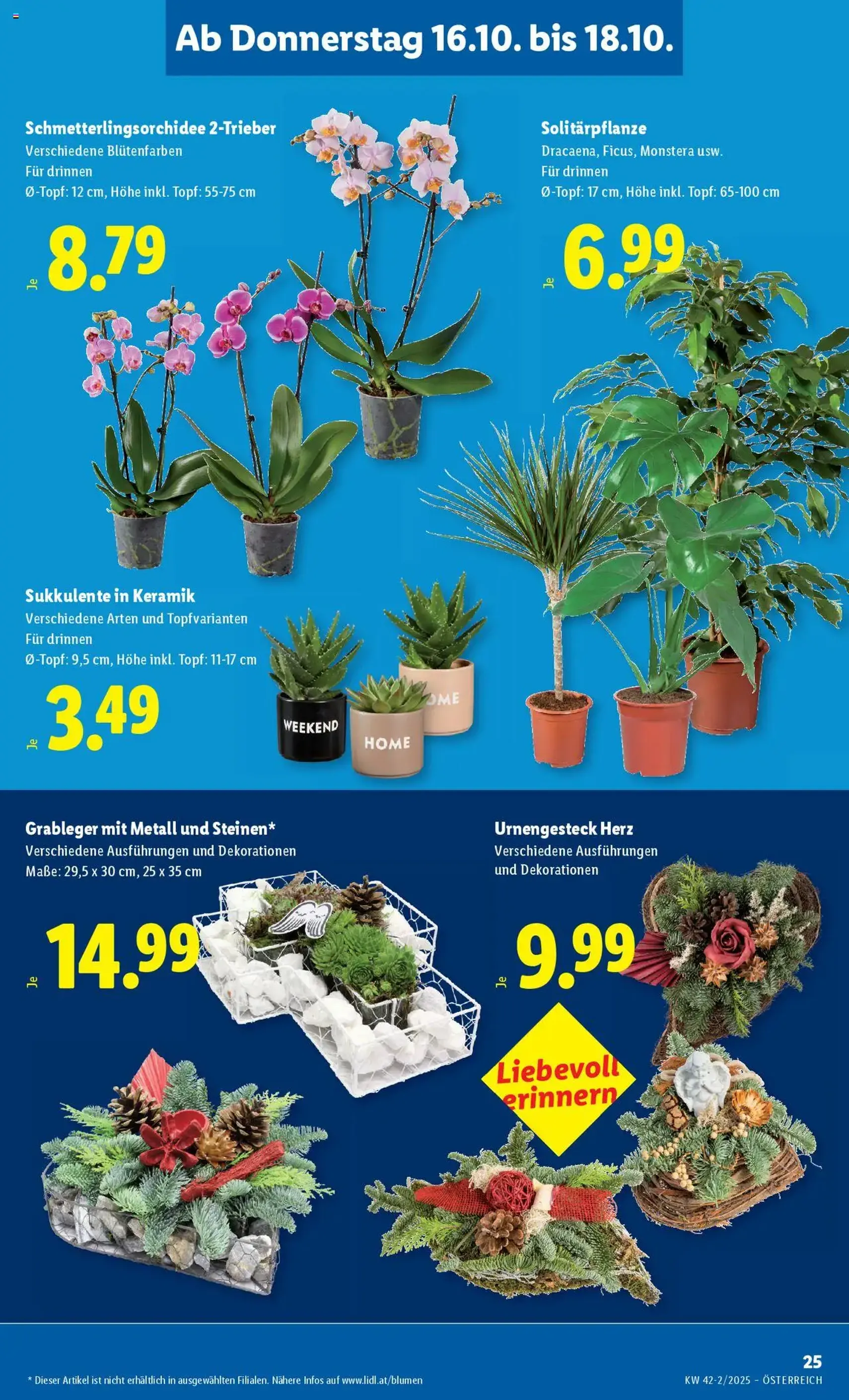 Lidl Flugblatt - Gültiger Prospekt ab 16.10.2025, Seite 29 von insgesamt 50 Lidl Flugblatt - Gültiger Prospekt ab 16.10.2025, Seite 29 von insgesamt 50