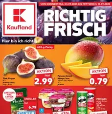Kaufland Prospekt - Prospekt Vorschau gültig ab 04.09.2025