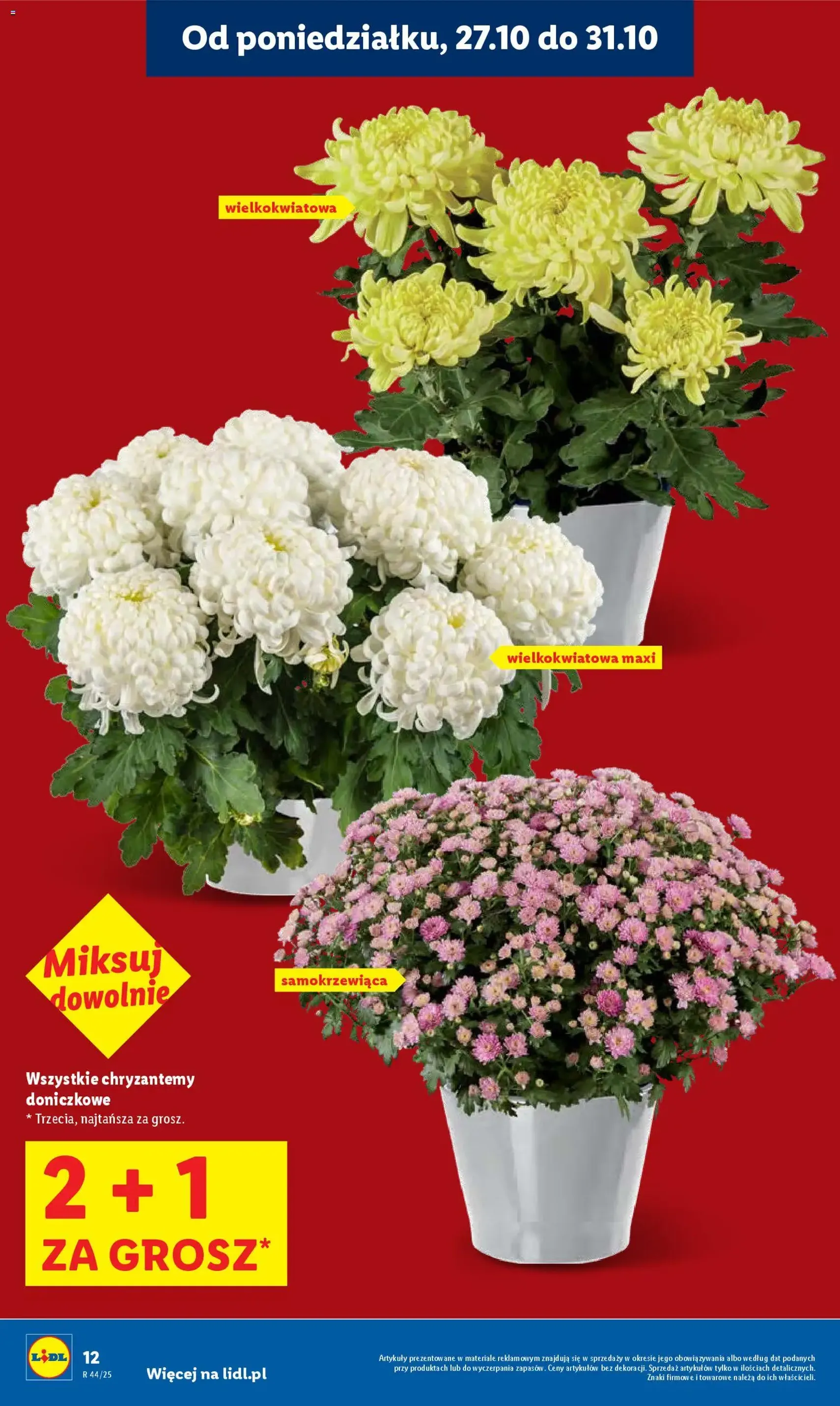 Lidl Gazetka - ważny gazetka od 27.10.2025 strona 12 z 73 Lidl Gazetka - ważny gazetka od 27.10.2025 strona 12 z 73