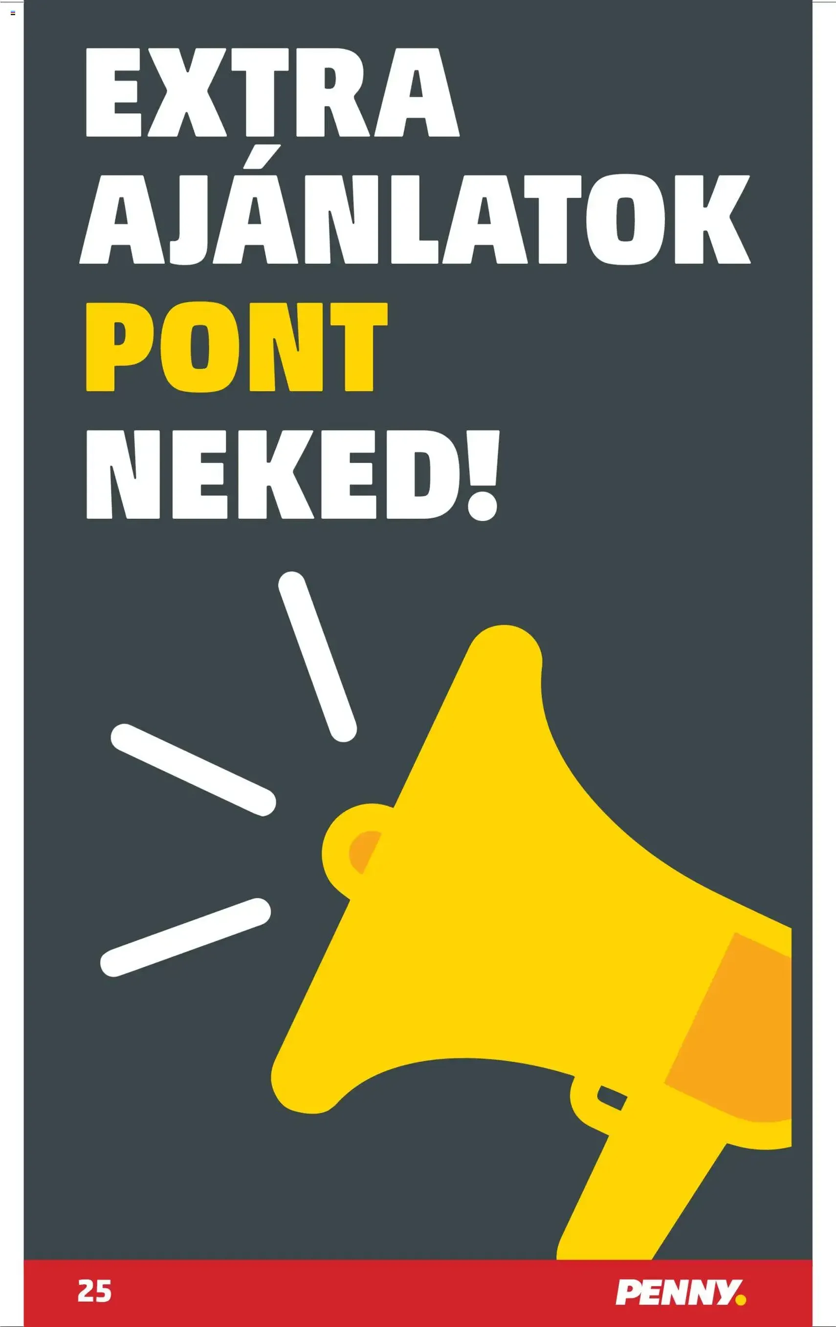 PENNY Akciós újság - 2025.11.06. érvényes szórólap 29 oldal 45 oldalból