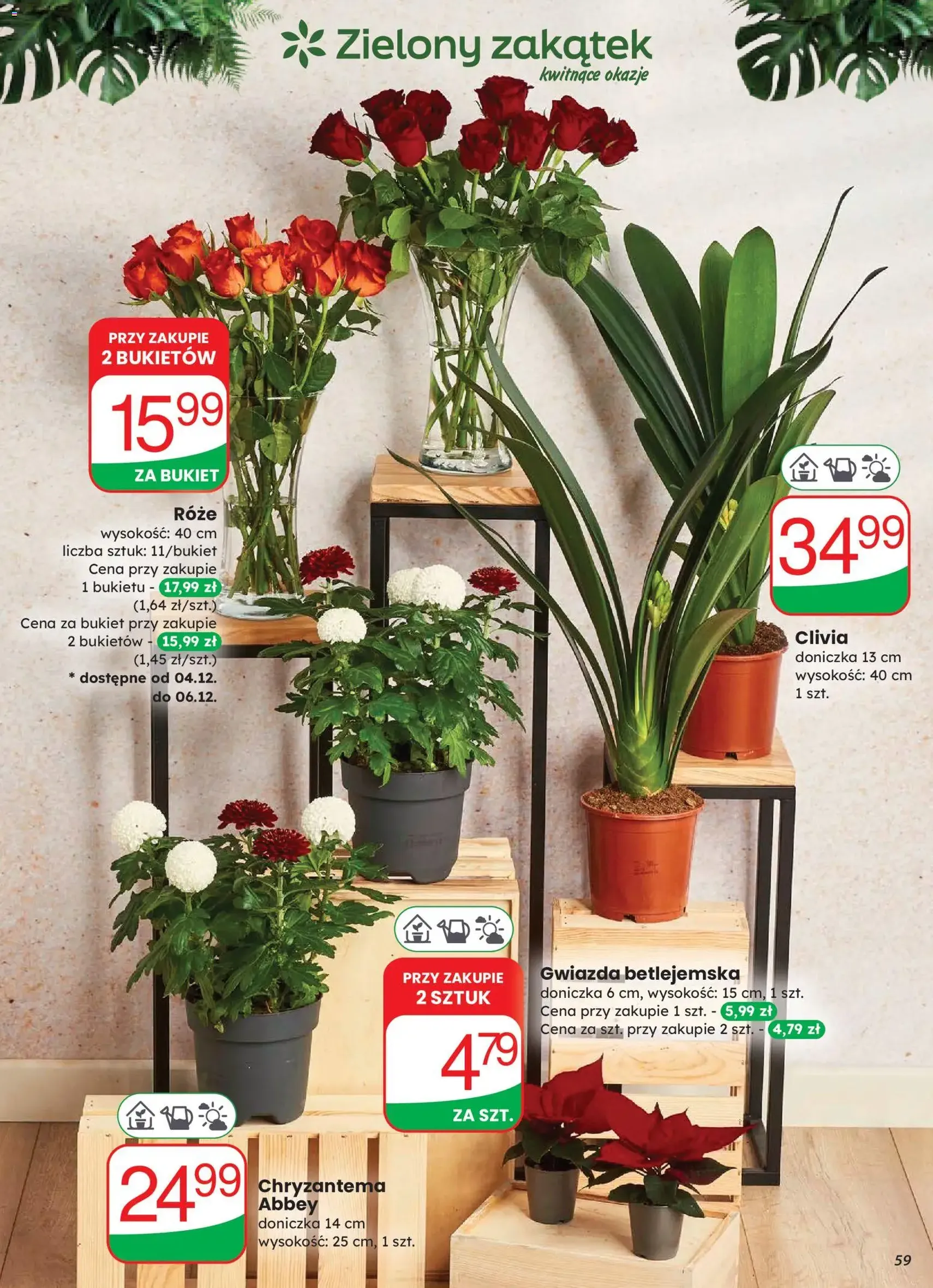 Dino Gazetka - ważny gazetka od 03.12.2025 strona 59 z 82