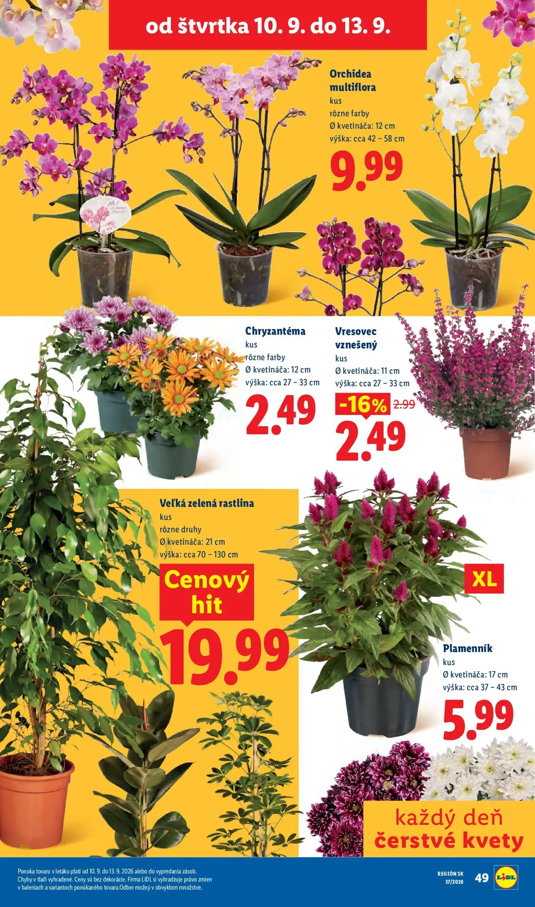 Lidl leták - platný leták od 07.09.2026 strana 75 z 100