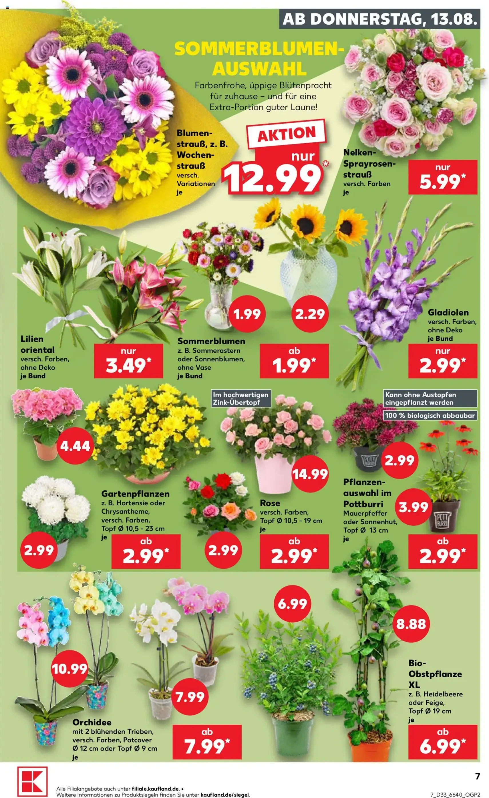 Kaufland Prospekt - Gültiger Prospekt ab 13.08.2026, Seite 7 von insgesamt 54