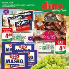 Dino gazetka - podgląd gazetki ważnej od 22.07.2026