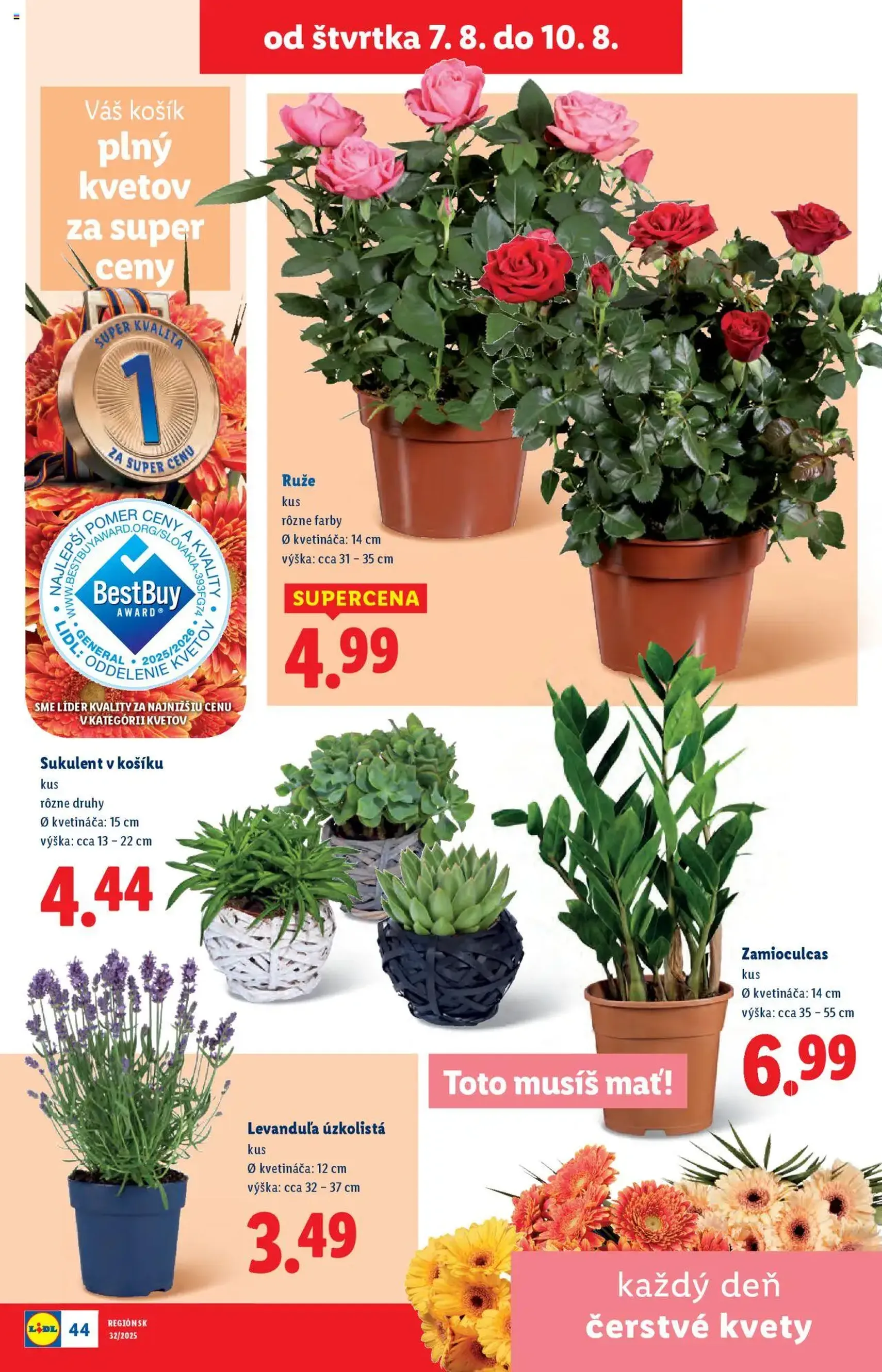 Lidl leták - platný leták od 04.08.2025 strana 75 z 98