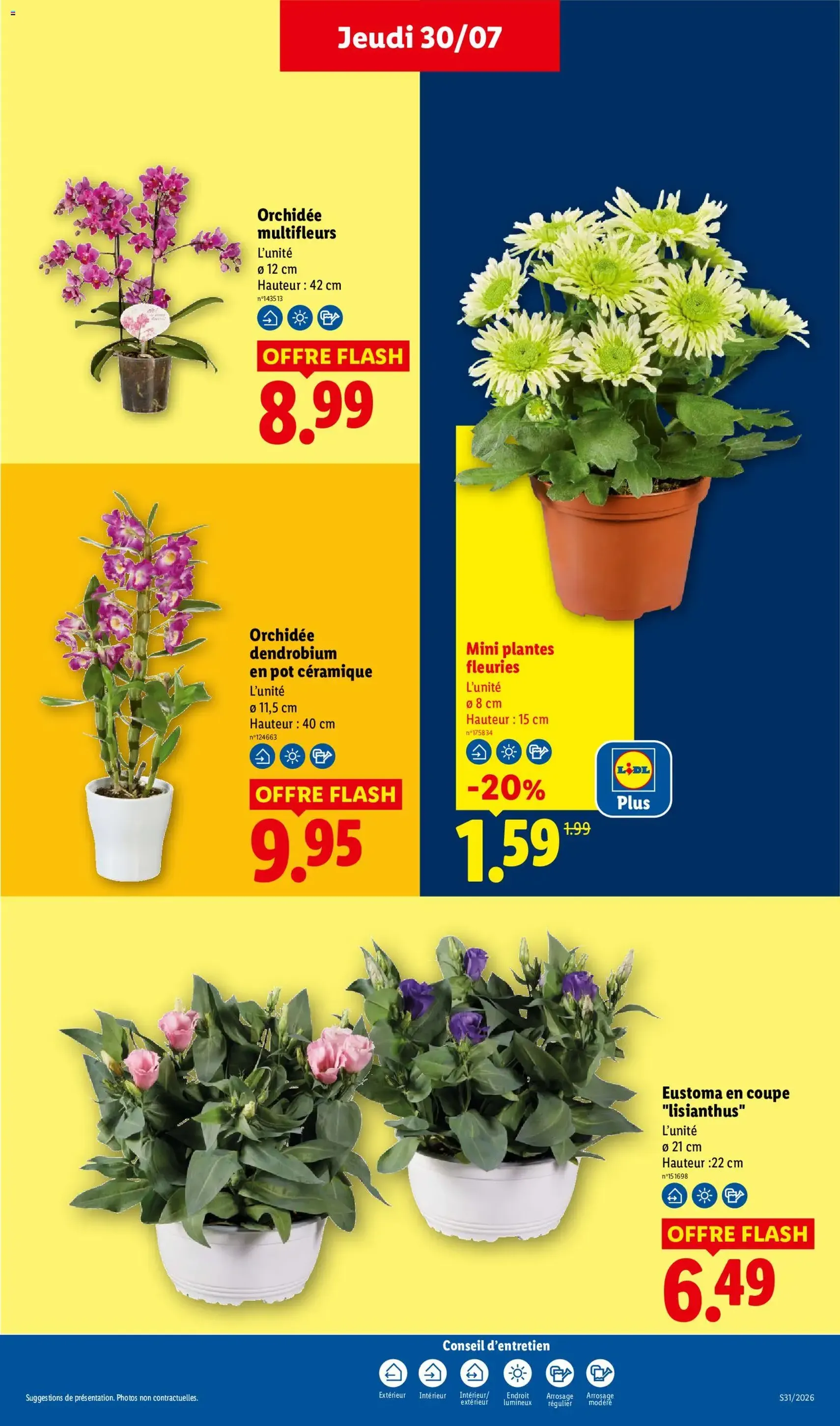 LIDL catalogue - brochure valable à partir du 30/07/2026, page 29 sur 59