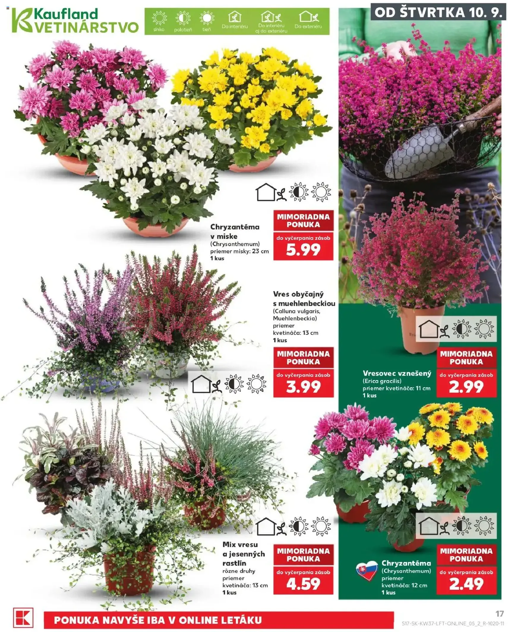 Kaufland leták - platný leták od 10.09.2026 strana 17 z 84