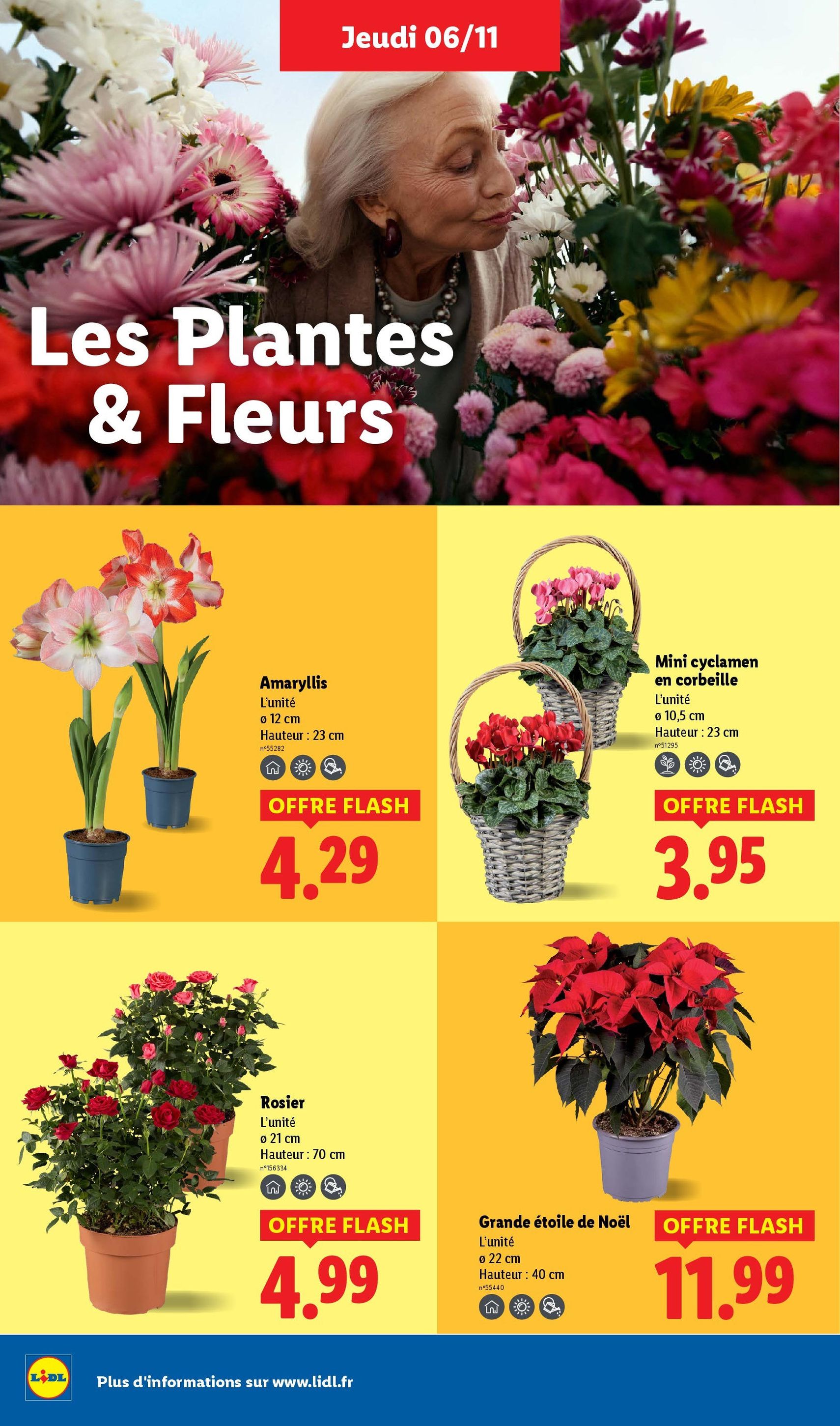 LIDL catalogue semaine 45 - brochure valable à partir du 06/11/2025, page 38 sur 95
