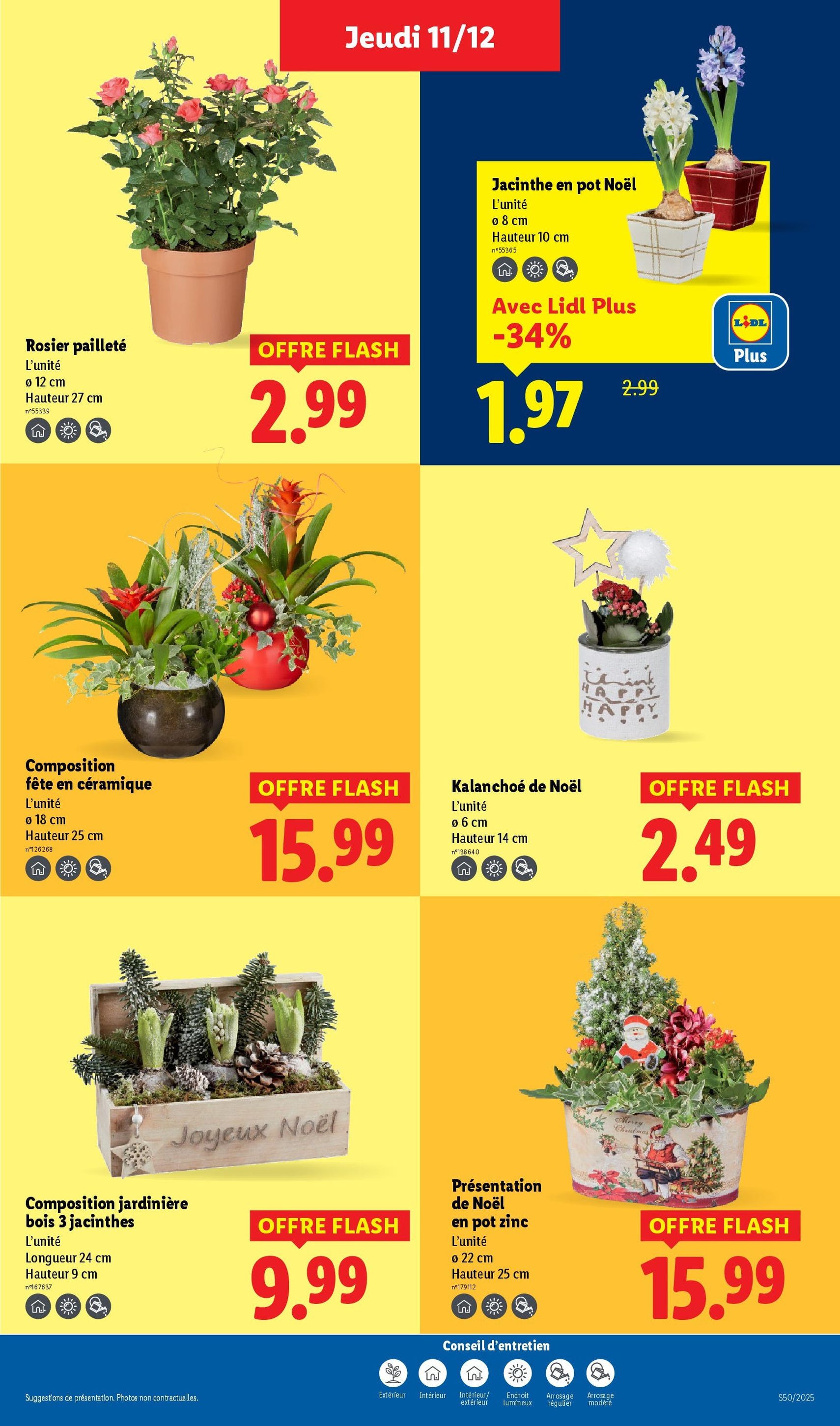 LIDL catalogue semaine 50 - brochure valable à partir du 11/12/2025, page 41 sur 88