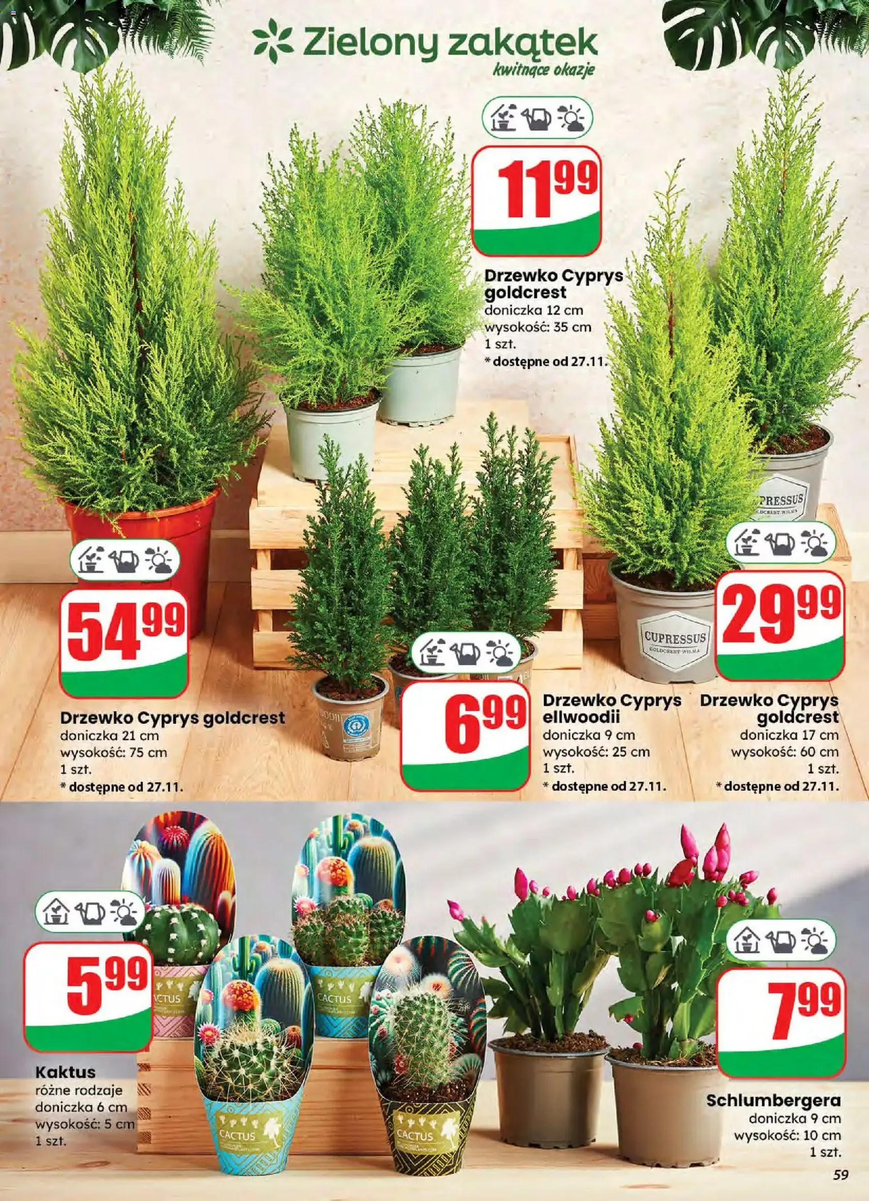 Dino Gazetka - ważny gazetka od 26.11.2025 strona 59 z 80