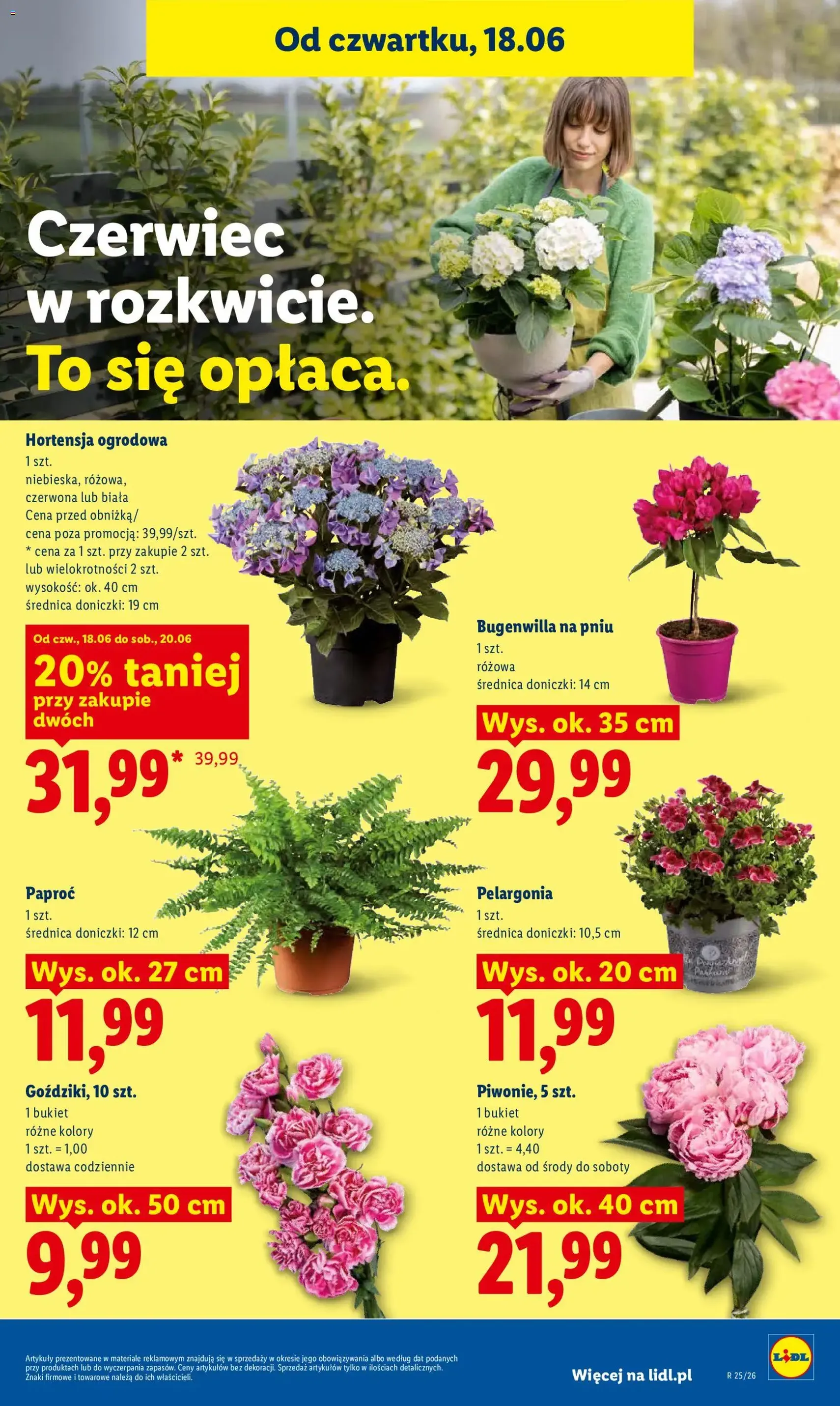 Lidl gazetka - ważny gazetka od 18.06.2026 strona 79 z 89