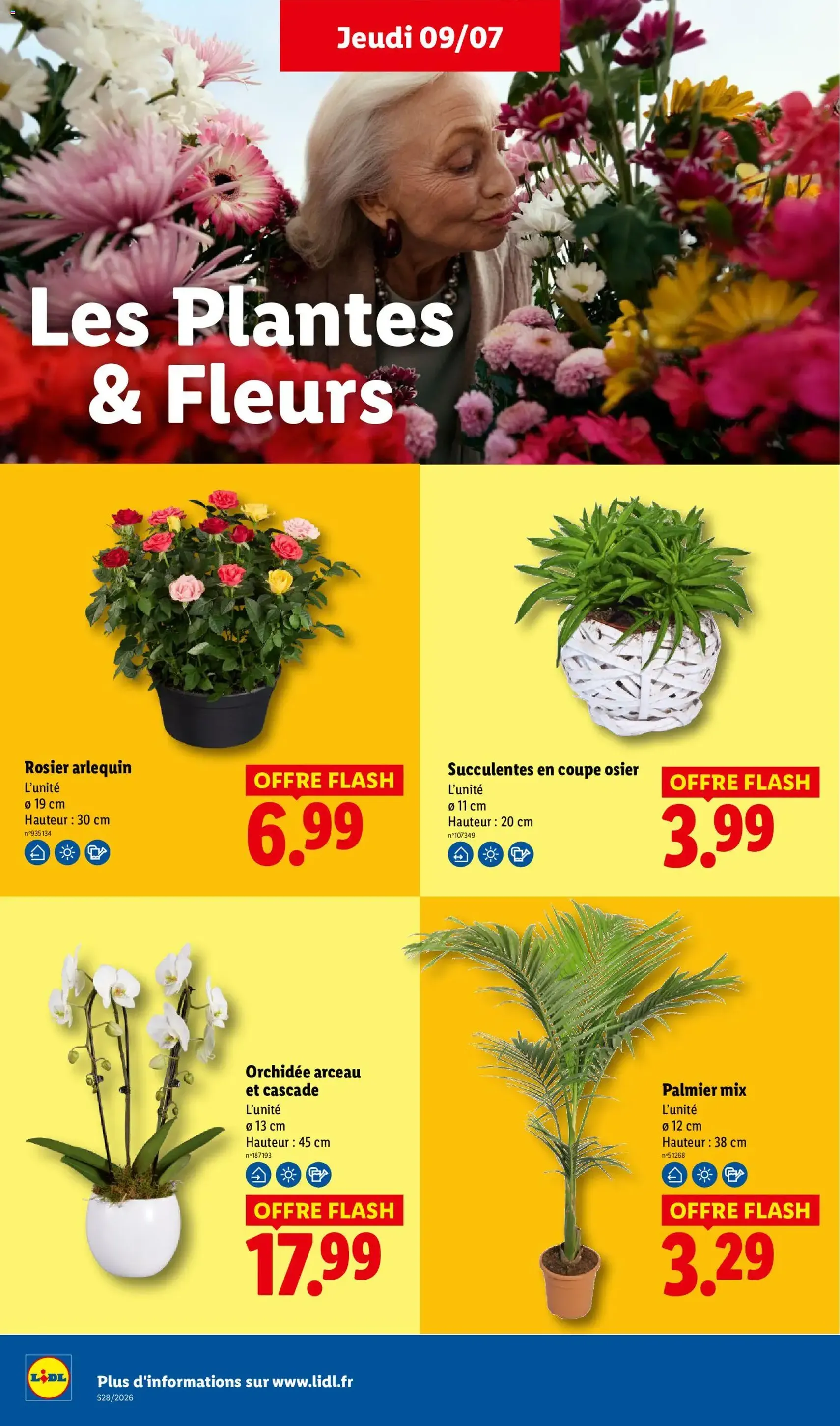 LIDL catalogue - brochure valable à partir du 09/07/2026, page 30 sur 68