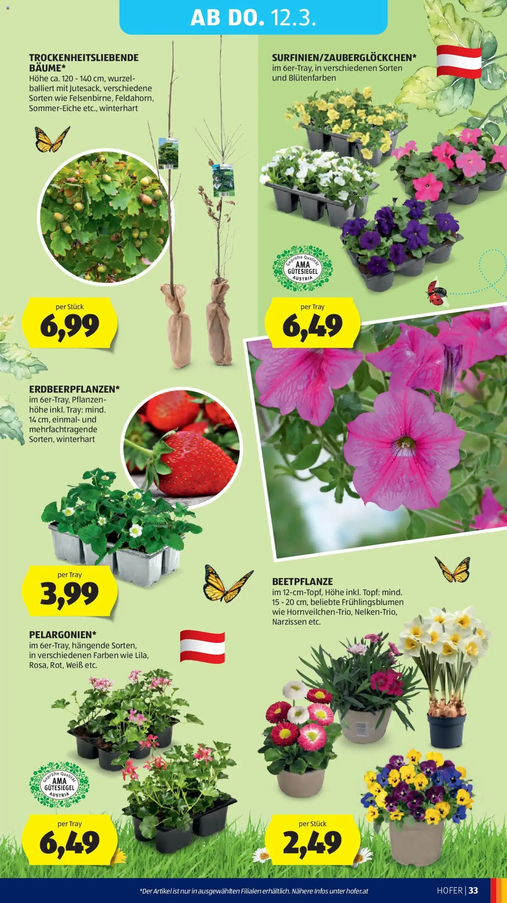 Hofer Flugblatt - Gültiger Prospekt ab 04.03.2026, Seite 41 von insgesamt 45