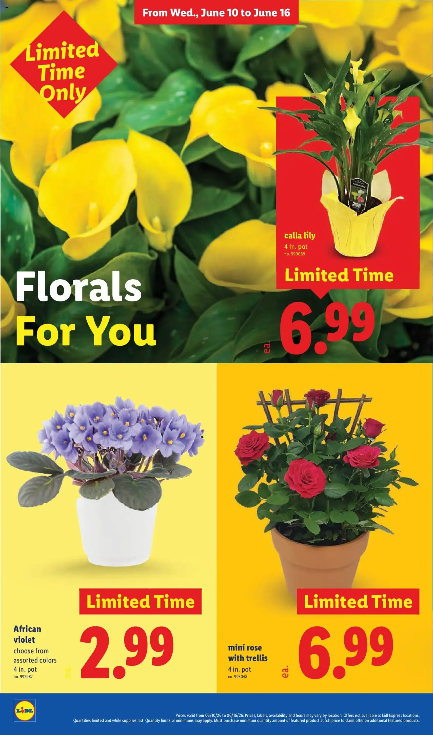 Lidl Weekly Ad - valid flyer from 06/10/2026, page 36 of 48